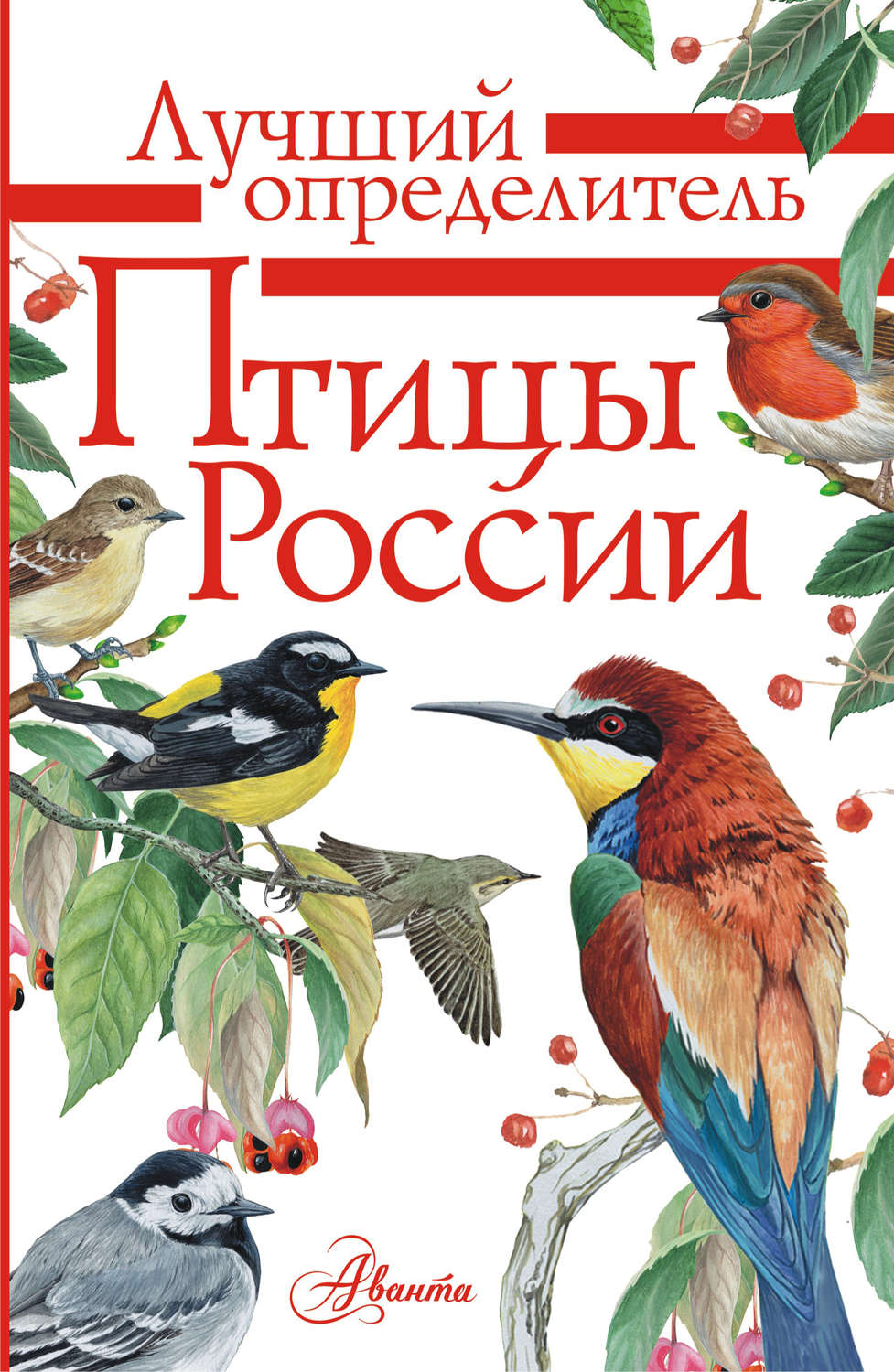 Обложка книги «Птицы России»