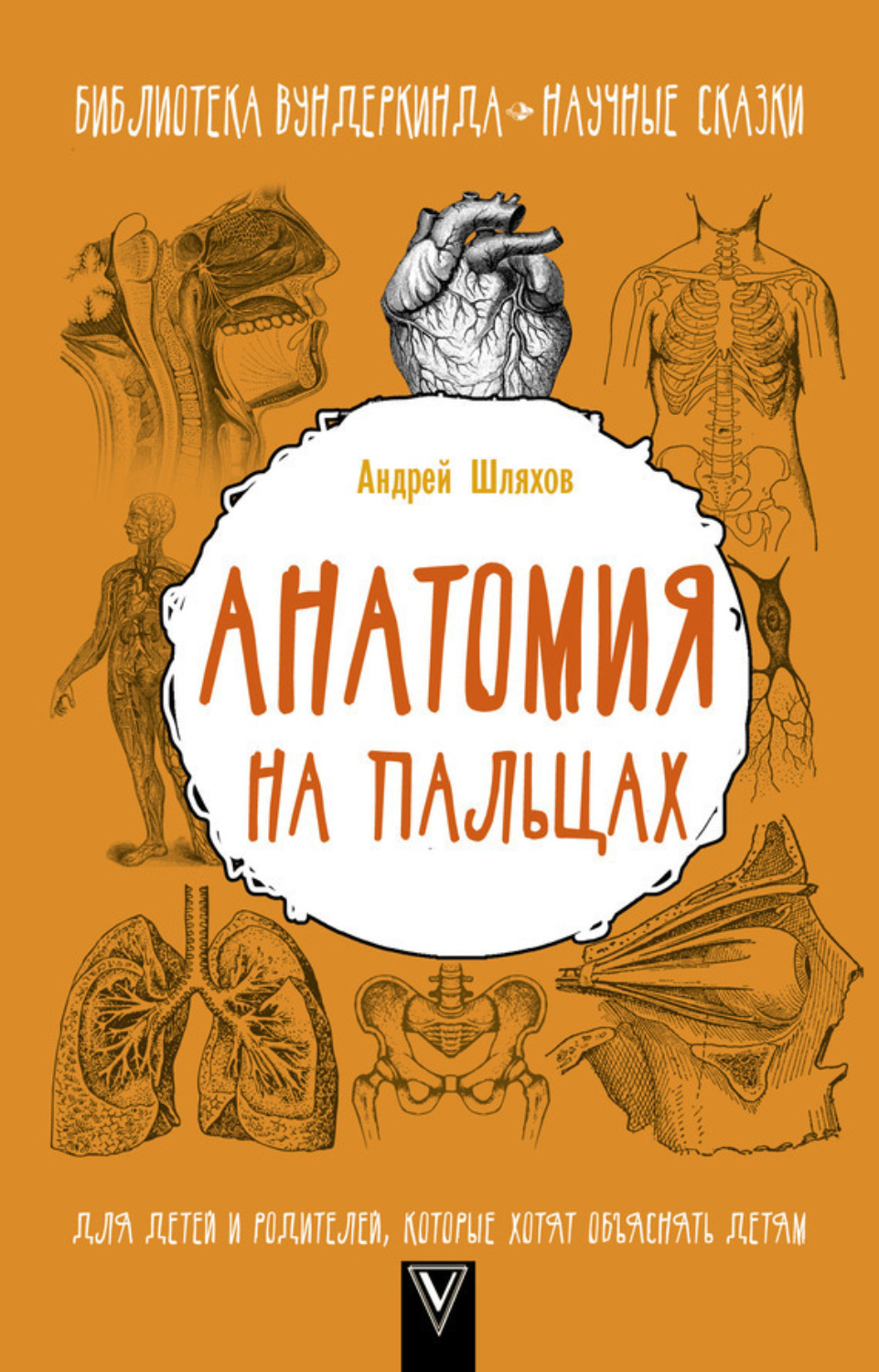 Обложка книги «Анатомия на пальцах. Для детей и родителей, которые хотят объяснять детям»
