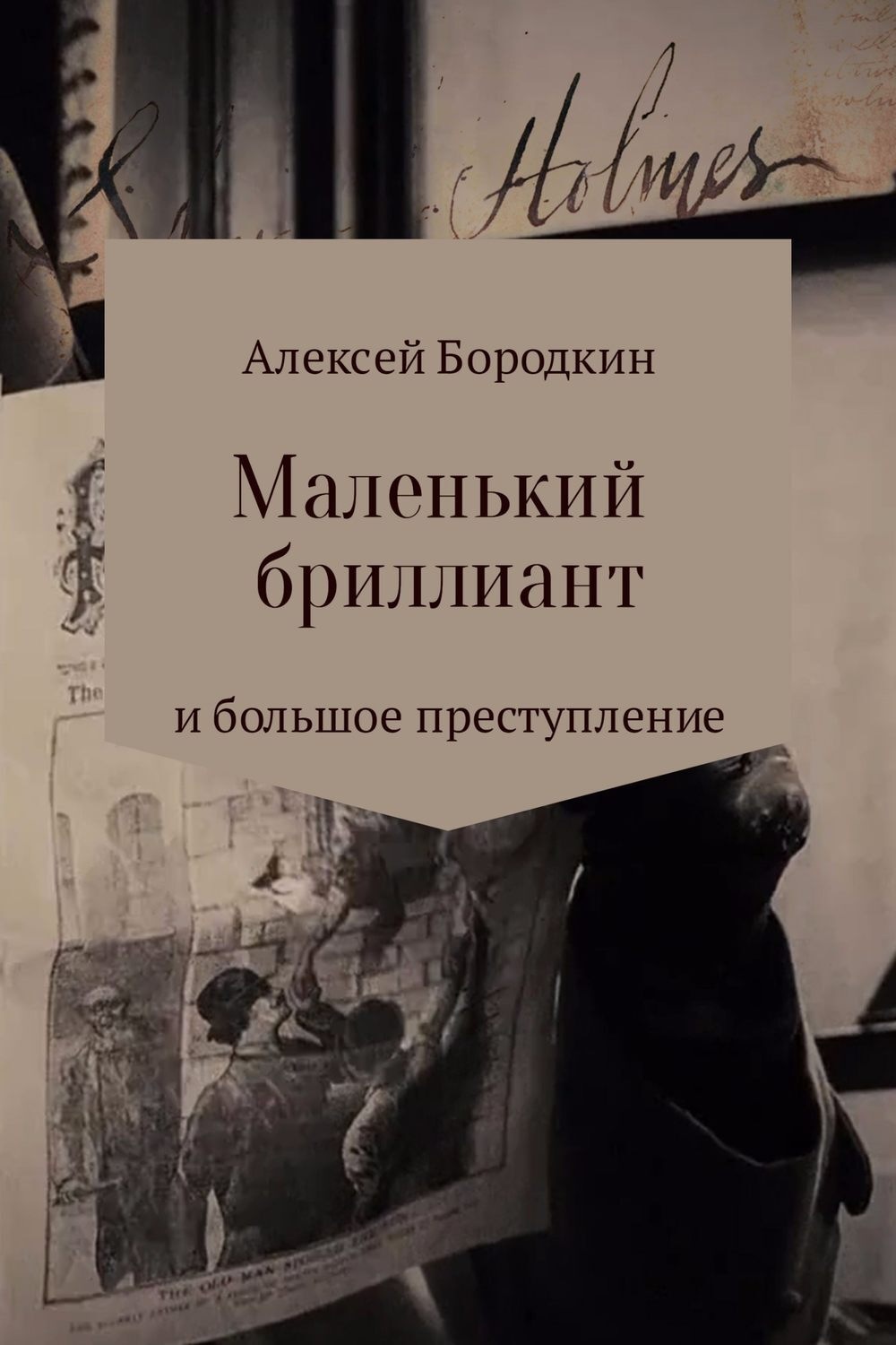 Обложка книги «Маленький бриллиант и большое преступление»