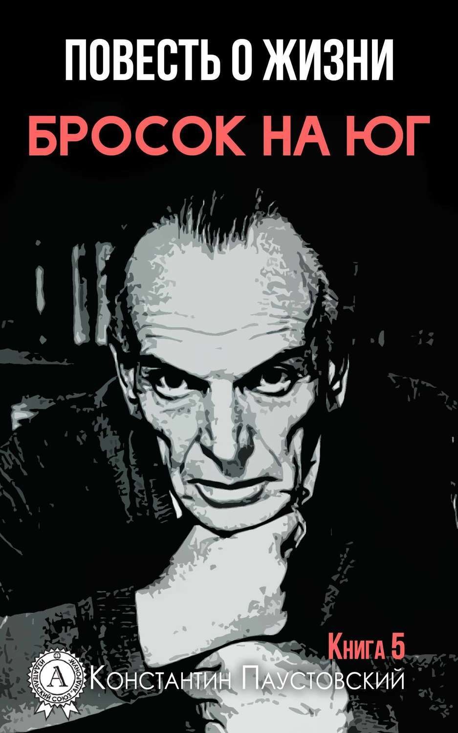 Обложка книги «Бросок на юг»