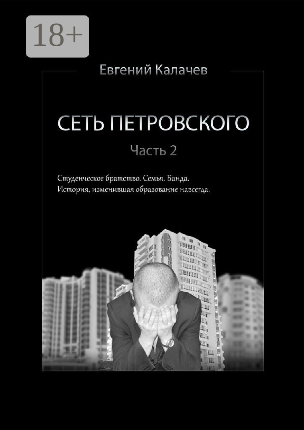Обложка книги «Сеть Петровского. Часть 2»