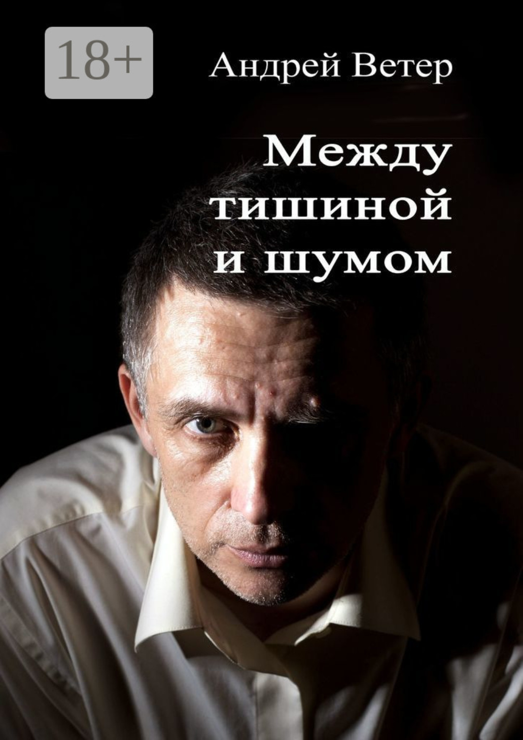 Обложка книги «Между тишиной и шумом»