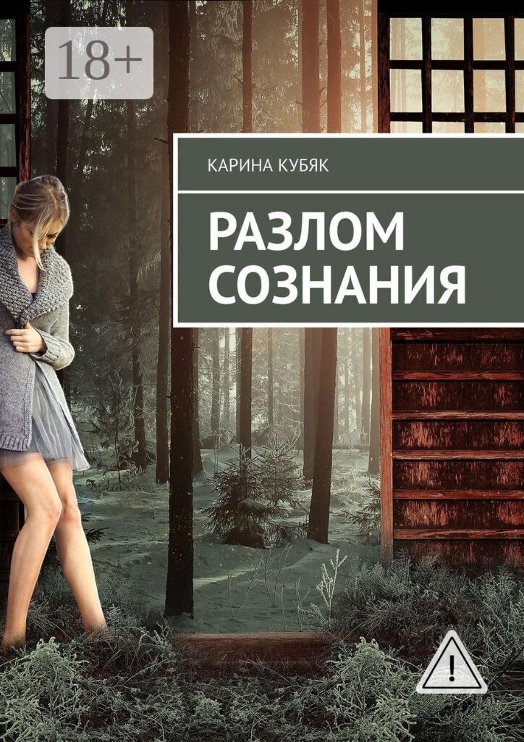 Обложка книги «Разлом сознания»
