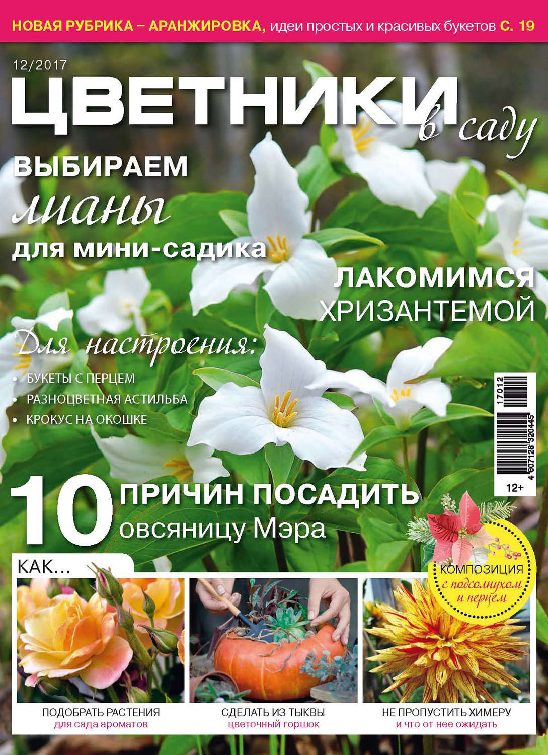 Обложка книги «Цветники в саду №12/2017»