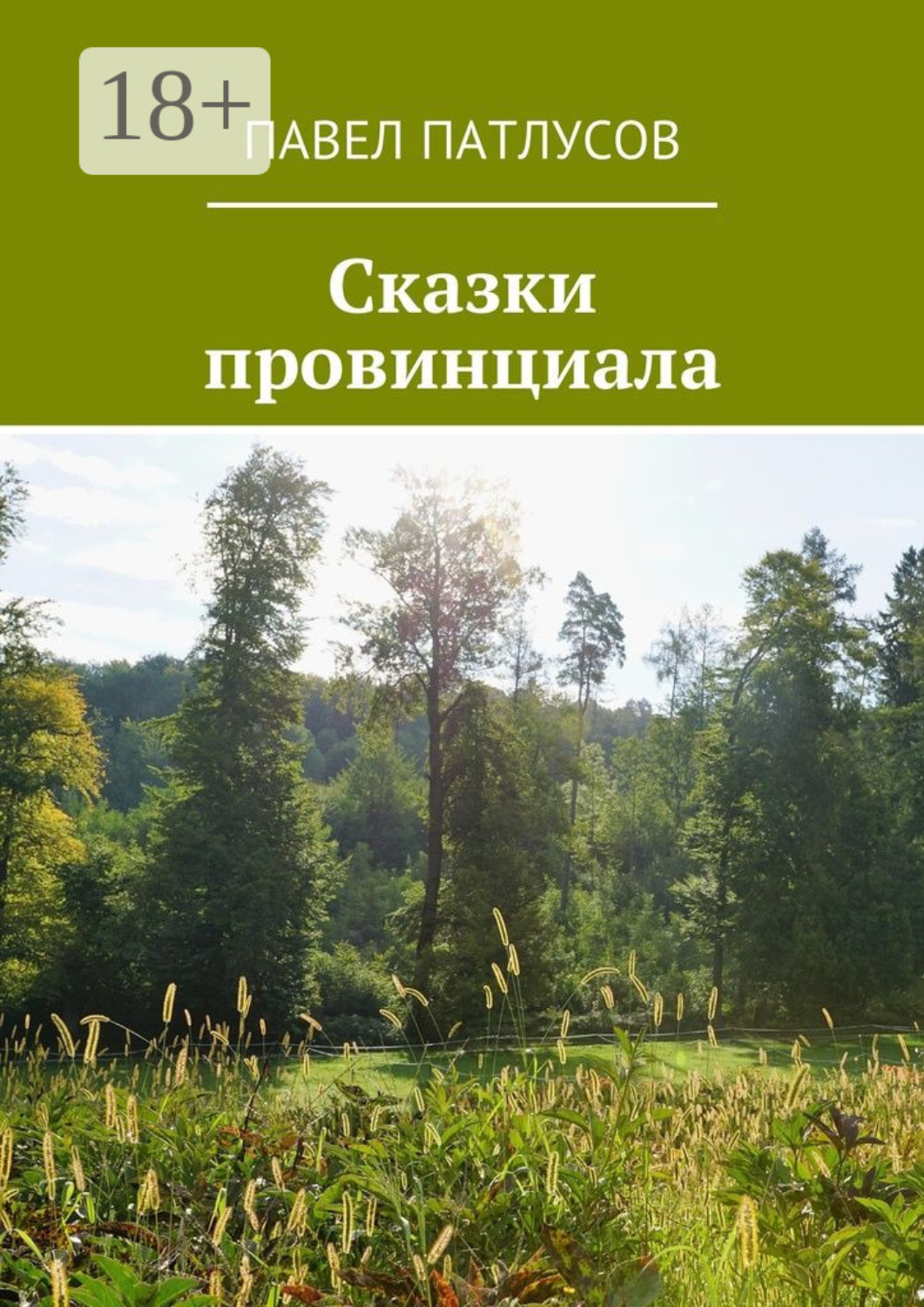 Обложка книги «Сказки провинциала»