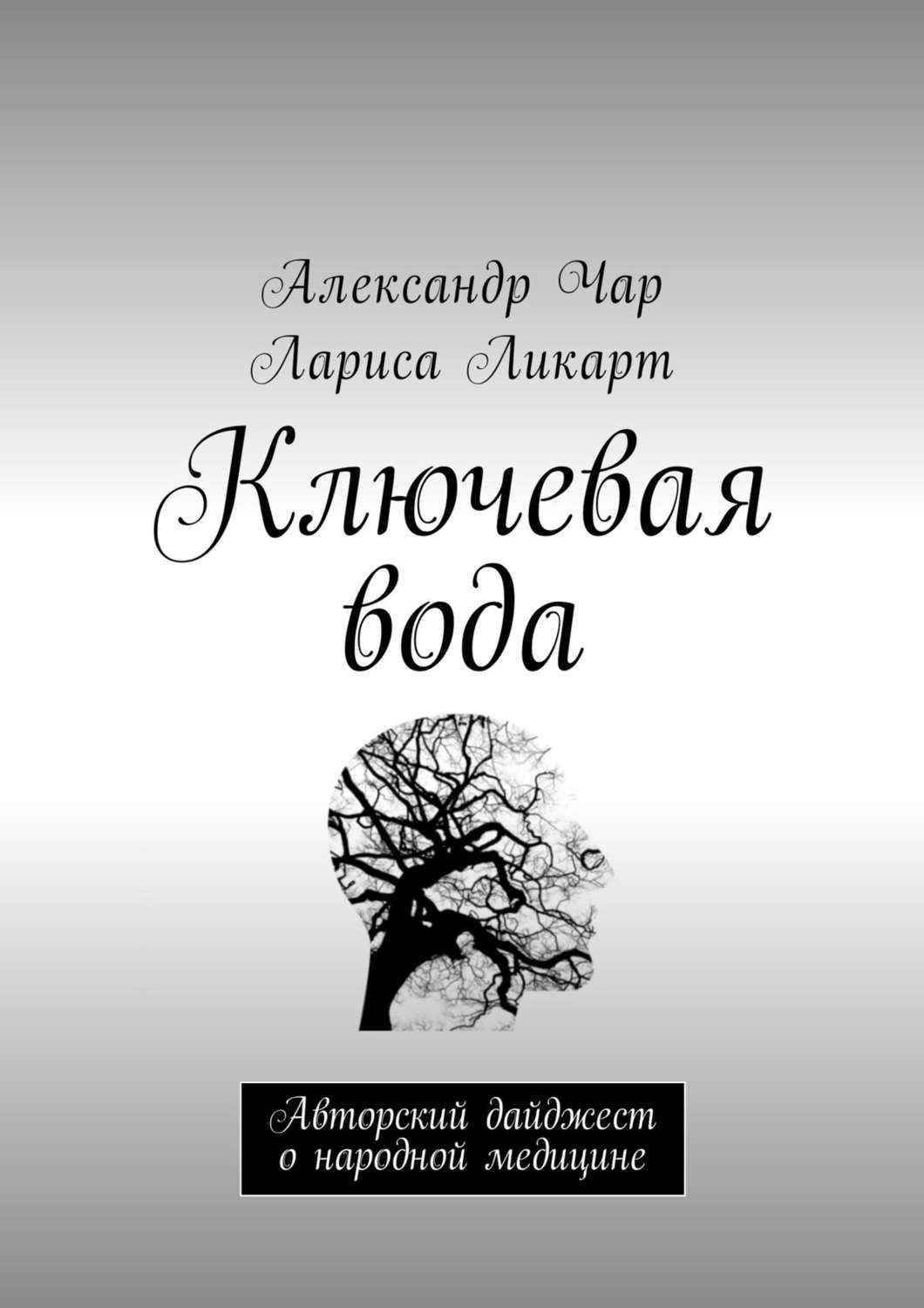 Обложка книги «Ключевая вода. Авторский дайджест о народной медицине»