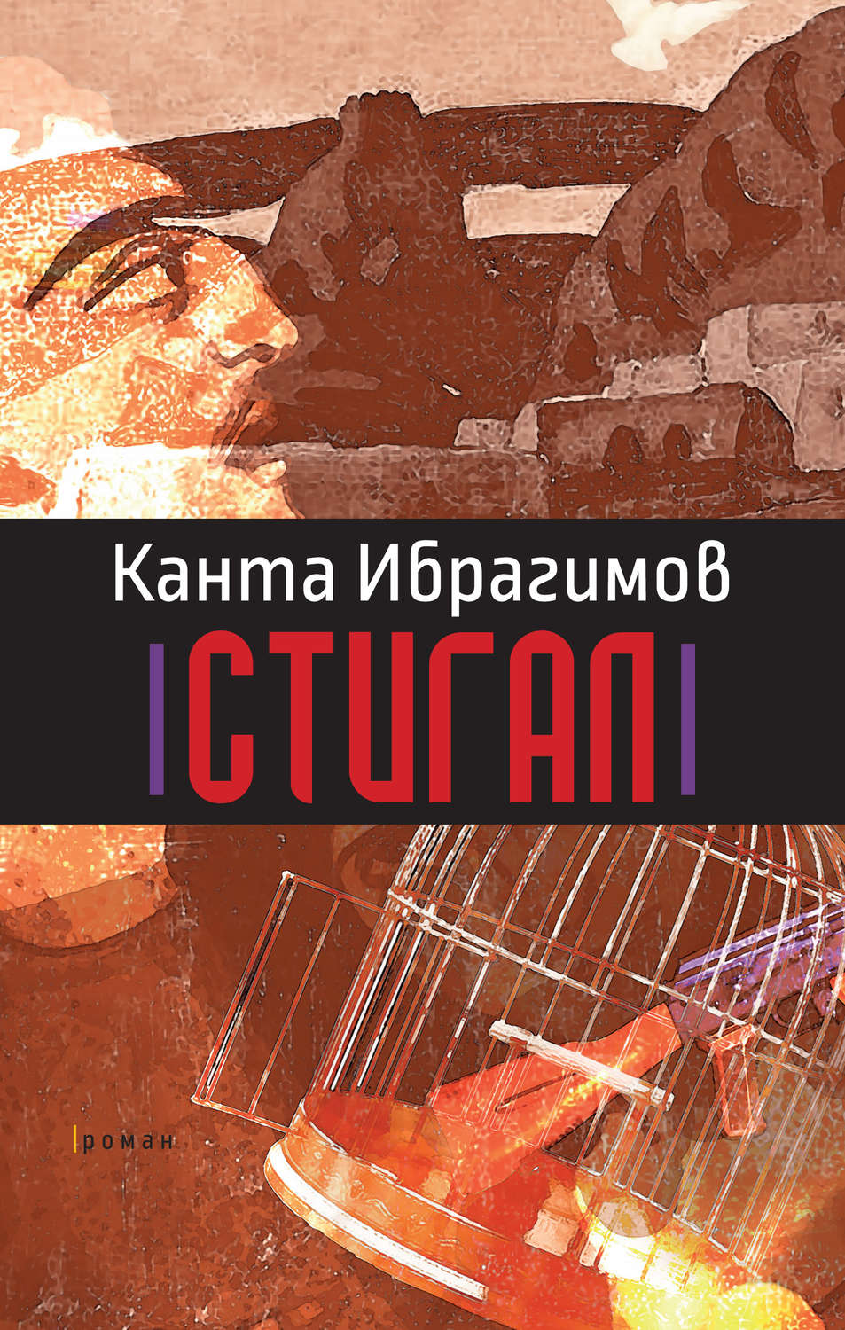 Обложка книги «Стигал»