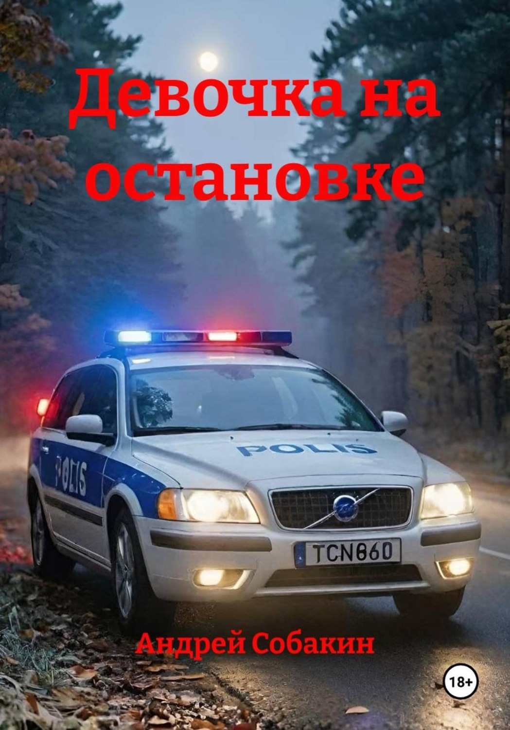 Обложка книги «Девочка на остановке»