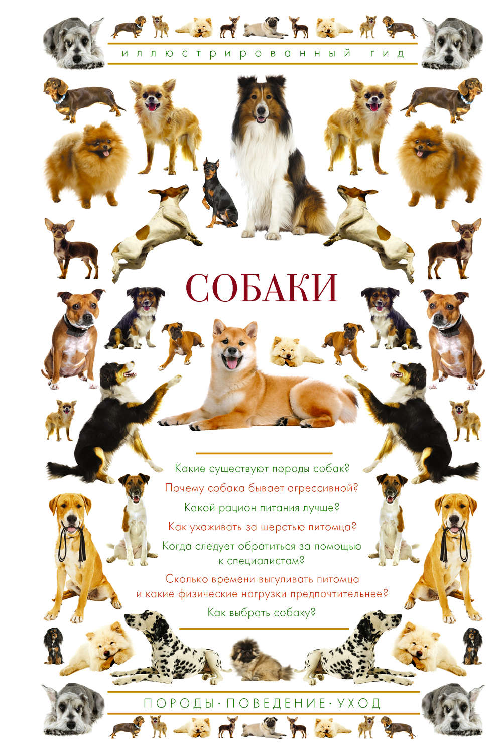 Обложка книги «Собаки. Иллюстрированный гид»