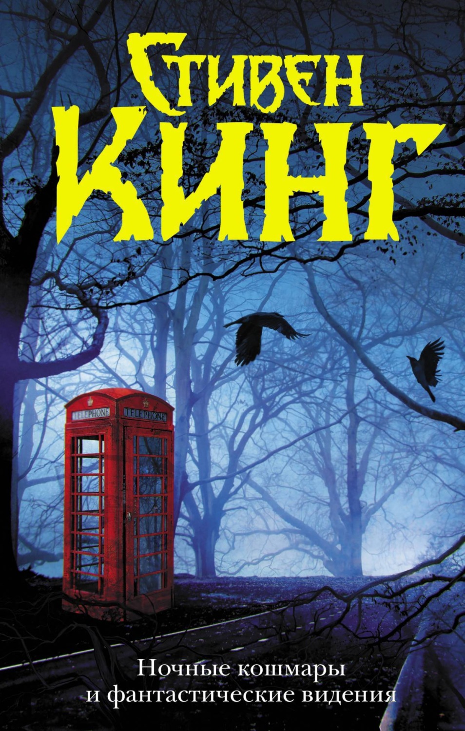 Обложка книги «Ночные кошмары и фантастические видения (сборник)»