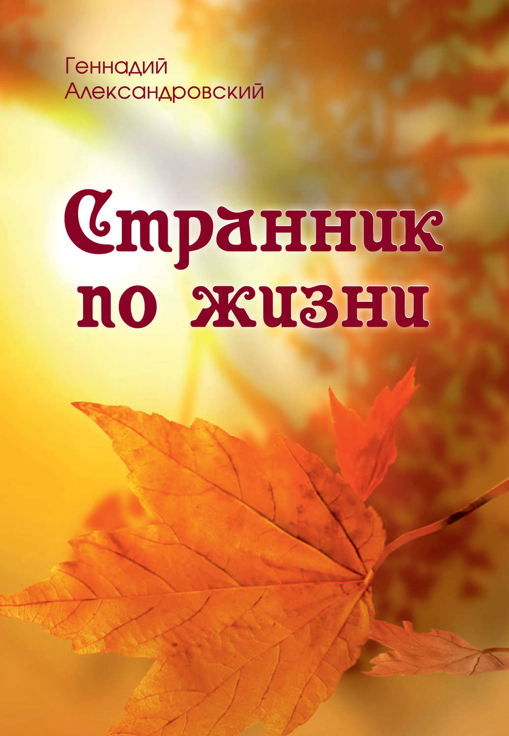Обложка книги «Странник по жизни (сборник)»