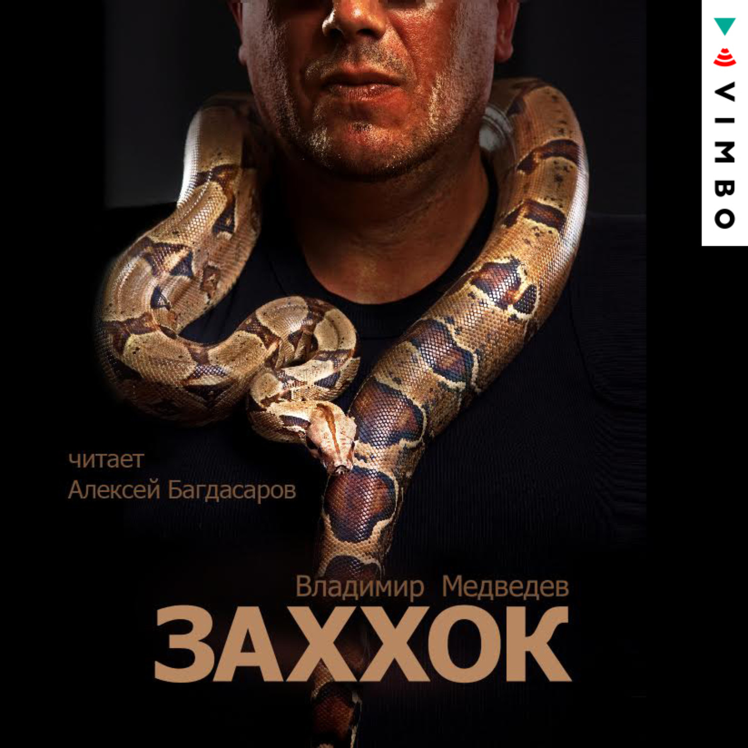 Обложка книги «Заххок»