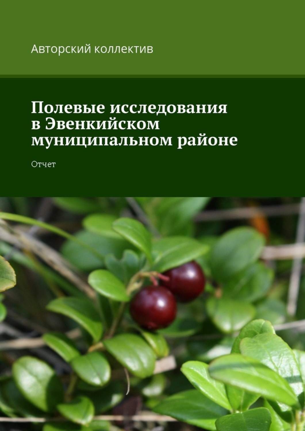Обложка книги «Полевые исследования в Эвенкийском муниципальном районе. Отчет»