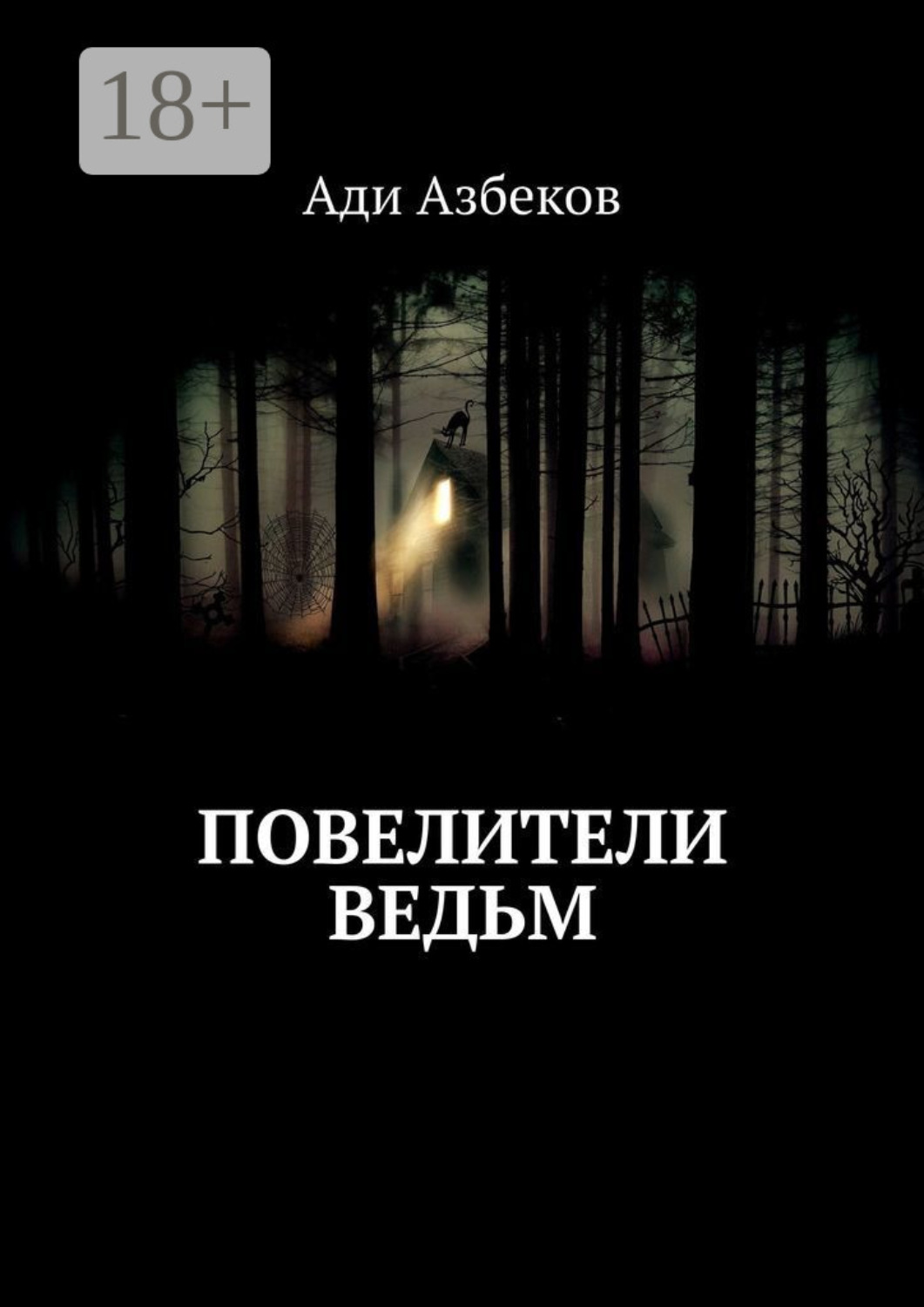 Обложка книги «Повелители ведьм»