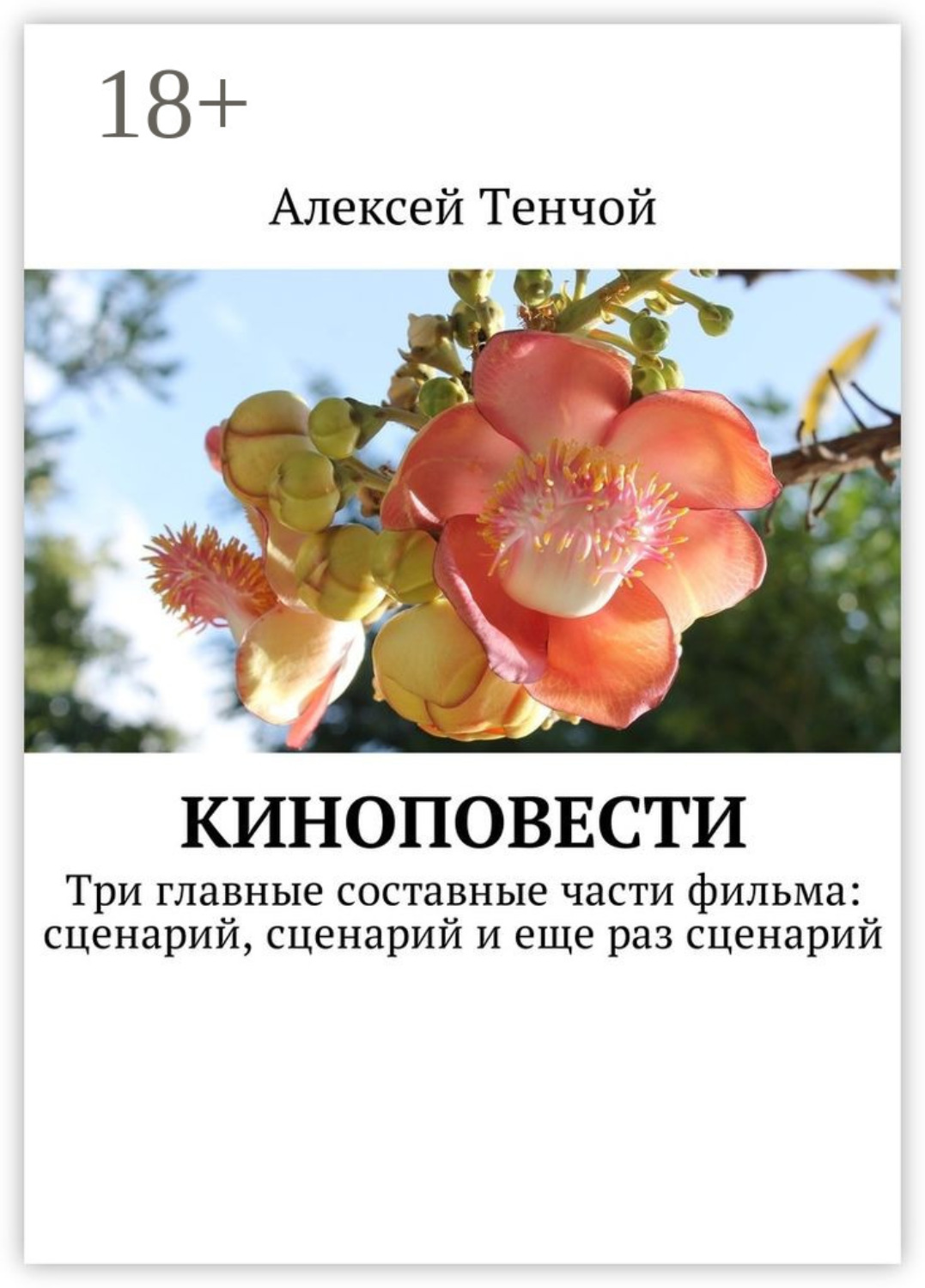 Обложка книги «Киноповести. Три главные составные части фильма: сценарий, сценарий и еще раз сценарий»