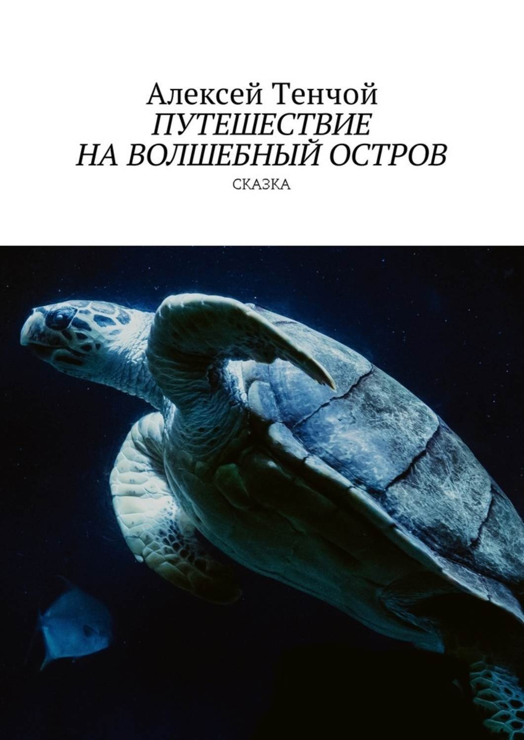 Обложка книги «Путешествие на волшебный остров. Сказка»
