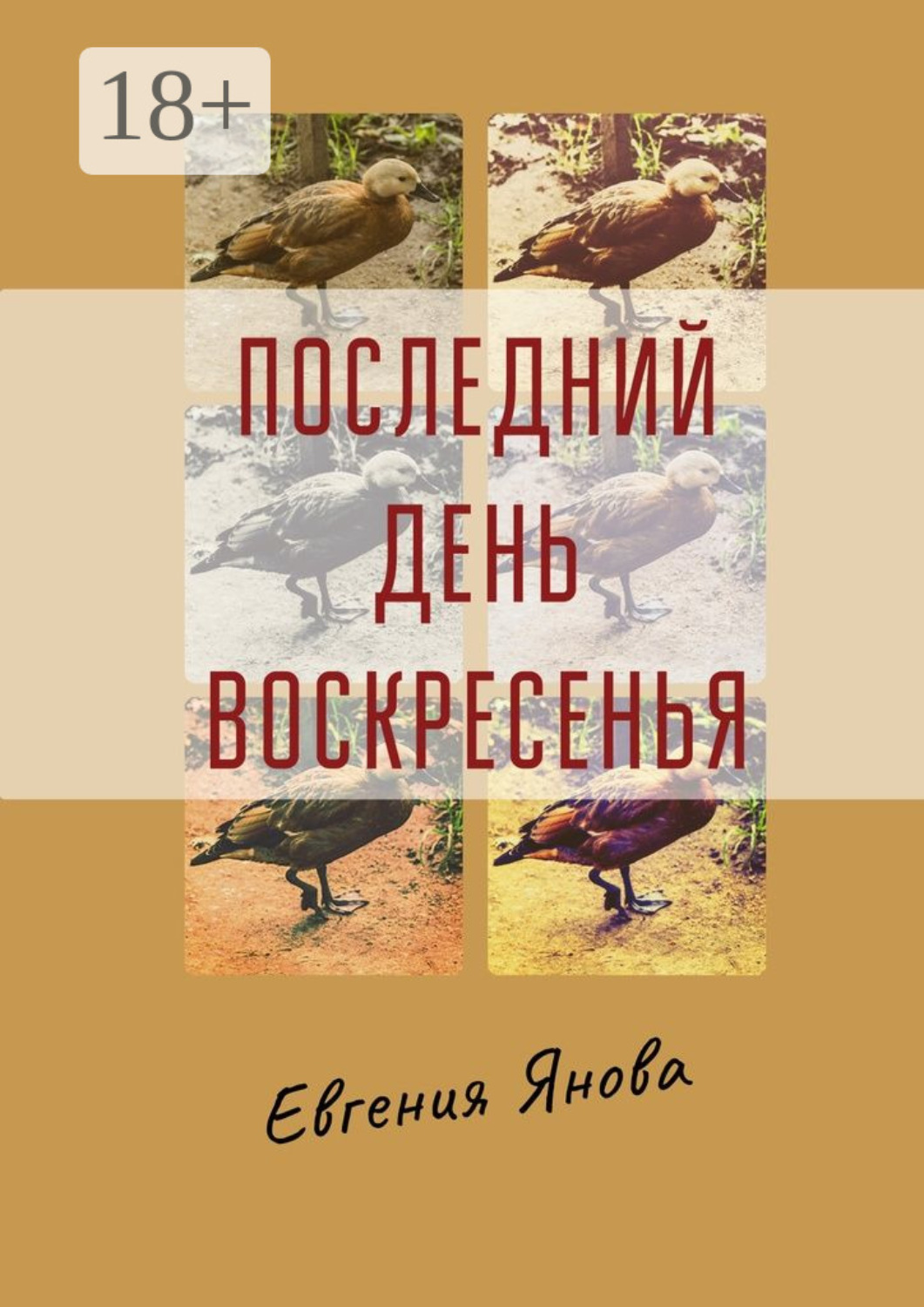 Обложка книги «Последний день воскресенья»
