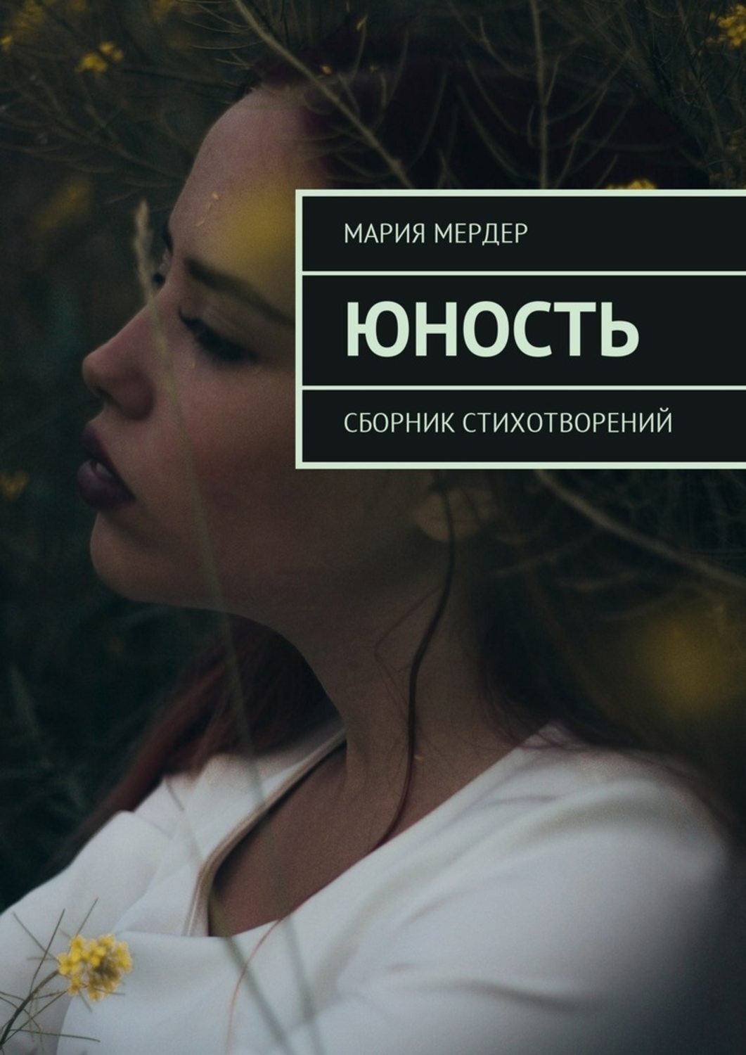 Обложка книги «Юность. Сборник стихотворений»