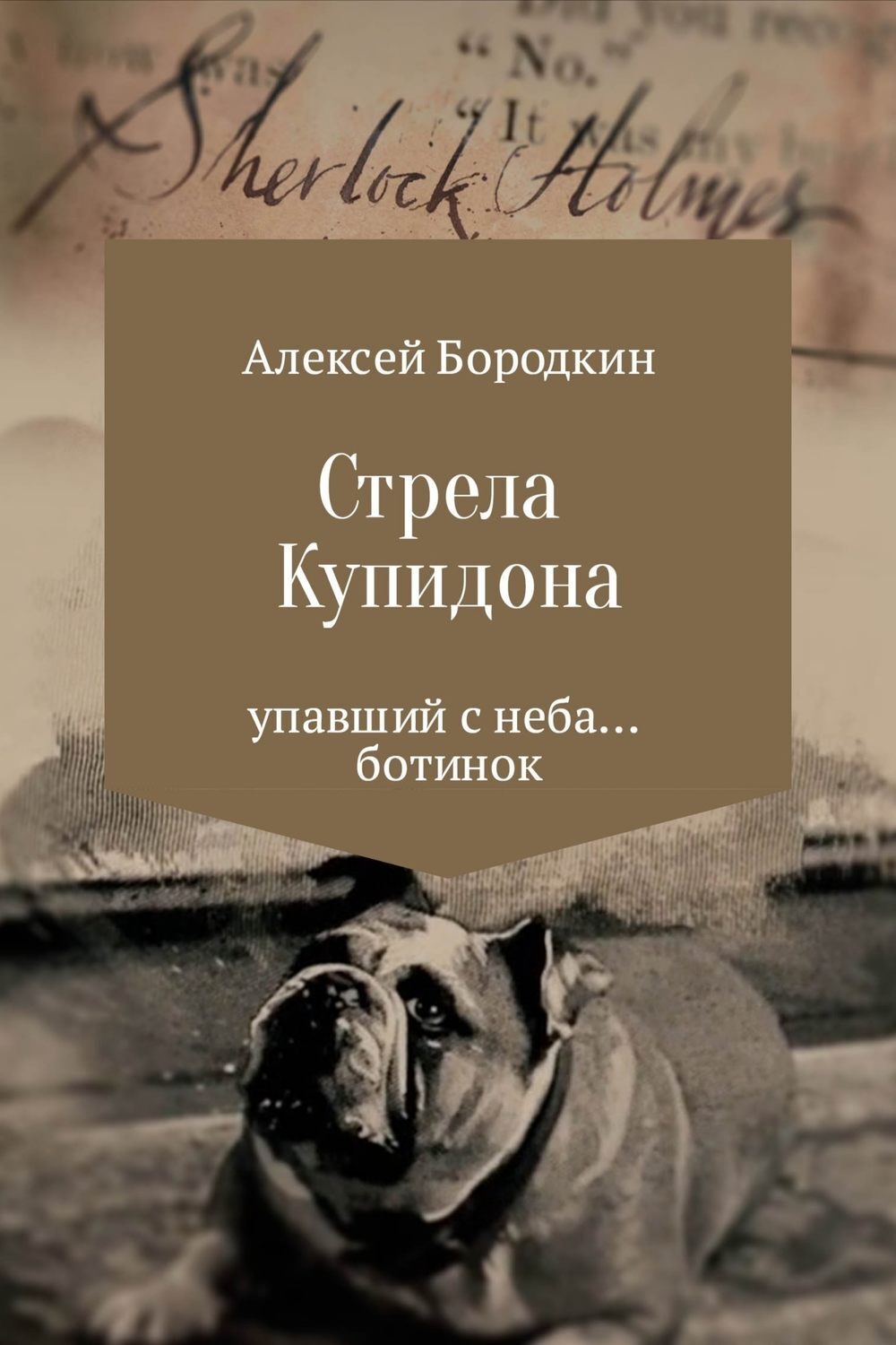 Обложка книги «Стрела Купидона»