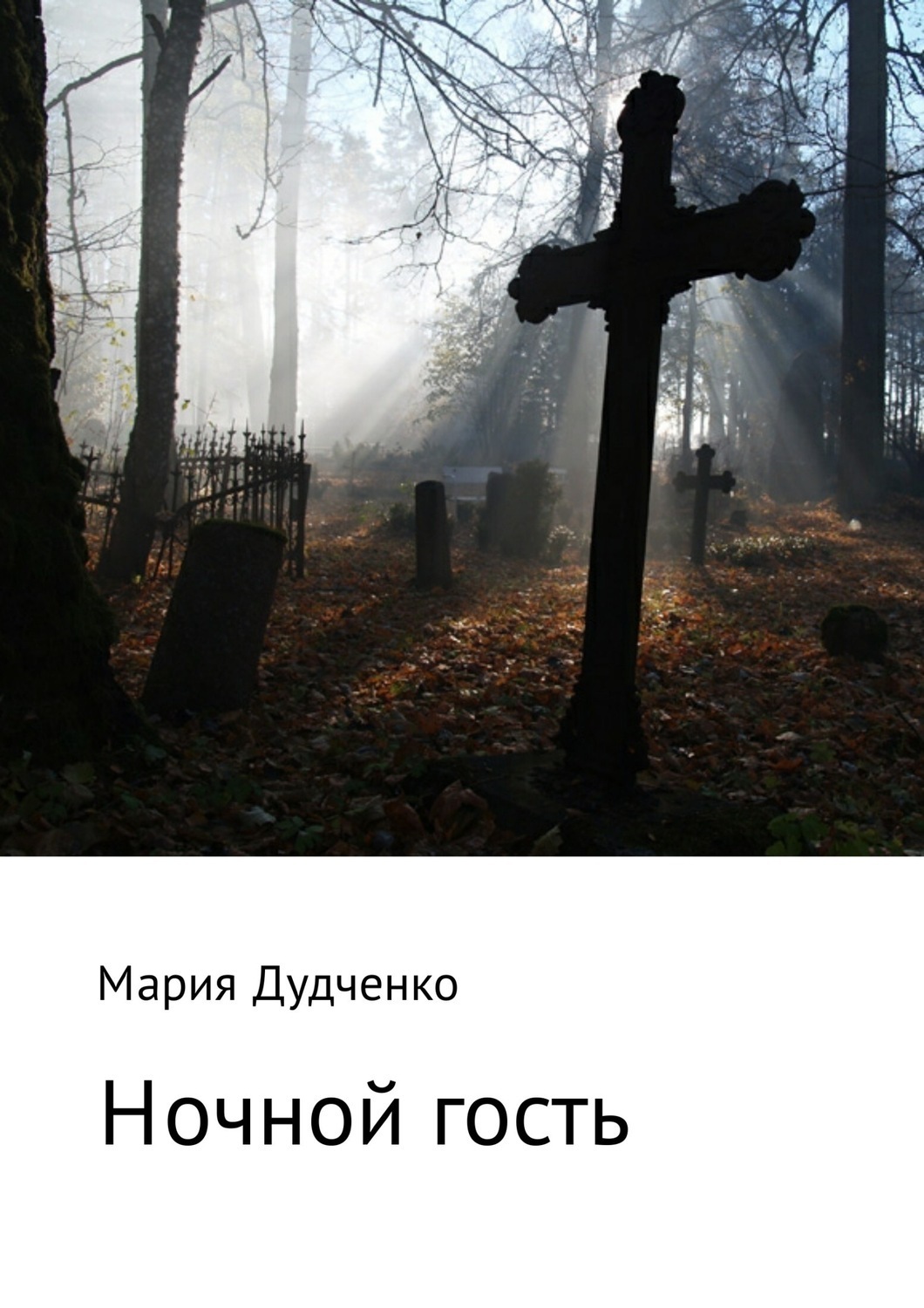 Обложка книги «Ночной гость»