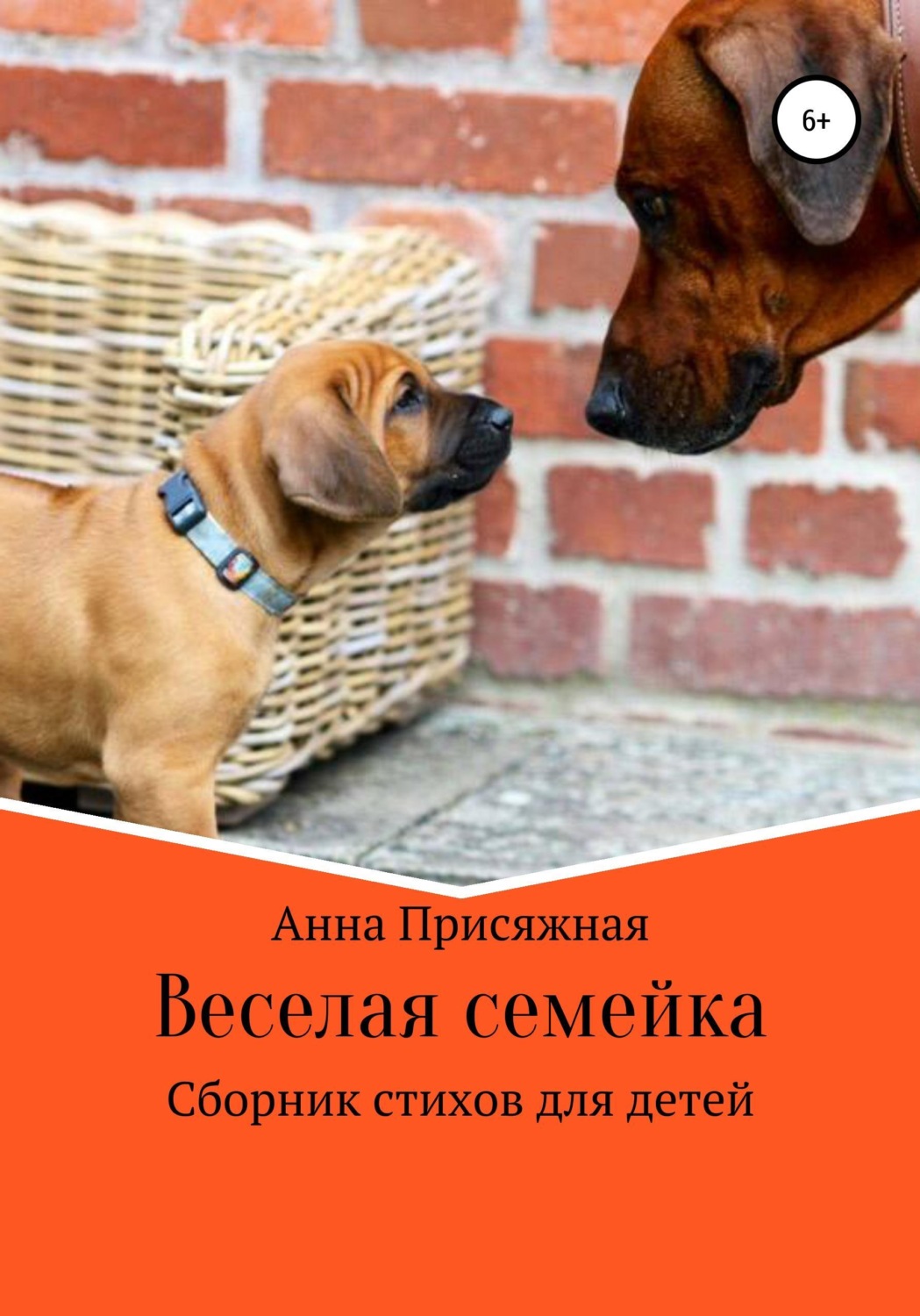 Обложка книги «Веселая семейка»