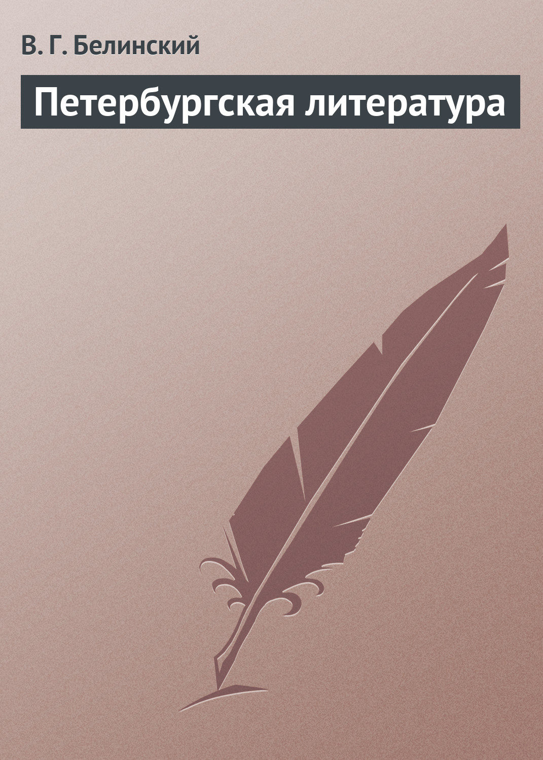 Обложка книги «Петербургская литература»