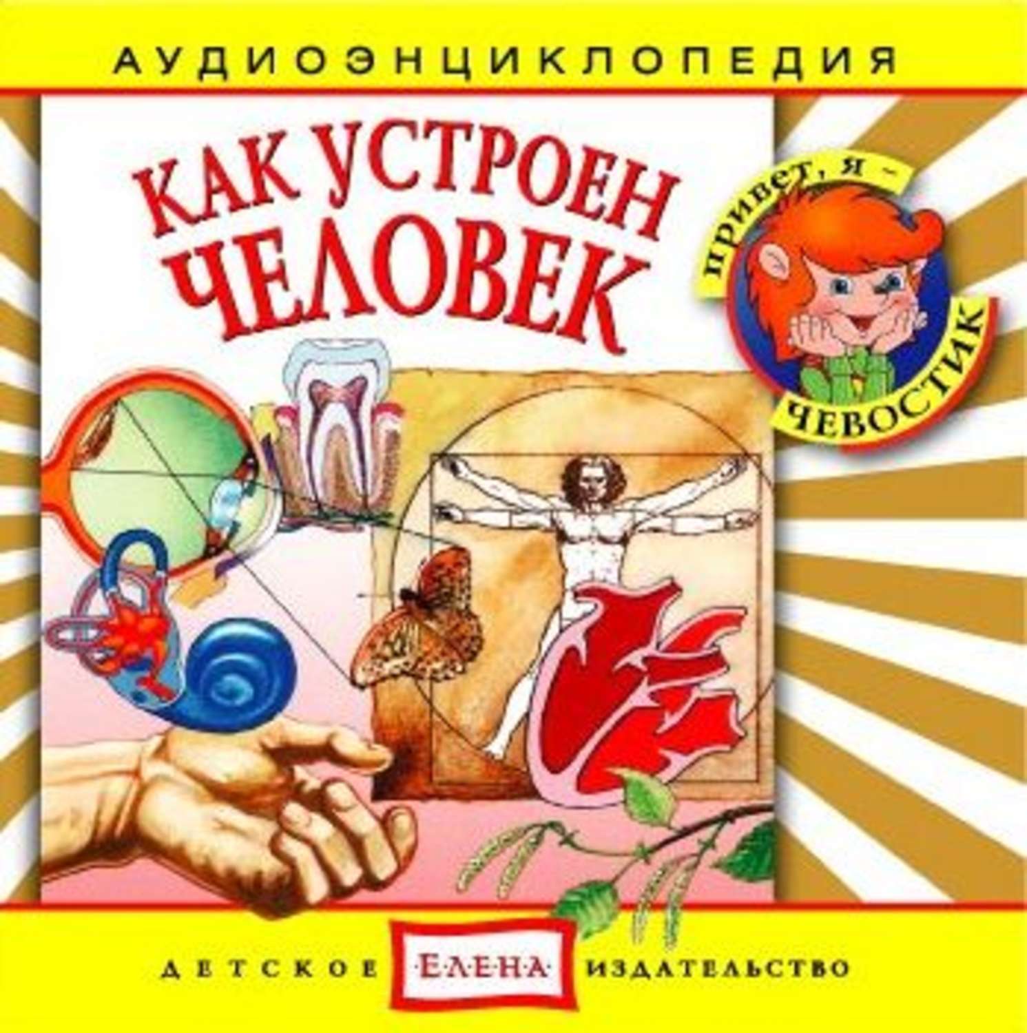 Обложка книги «Как устроен человек»