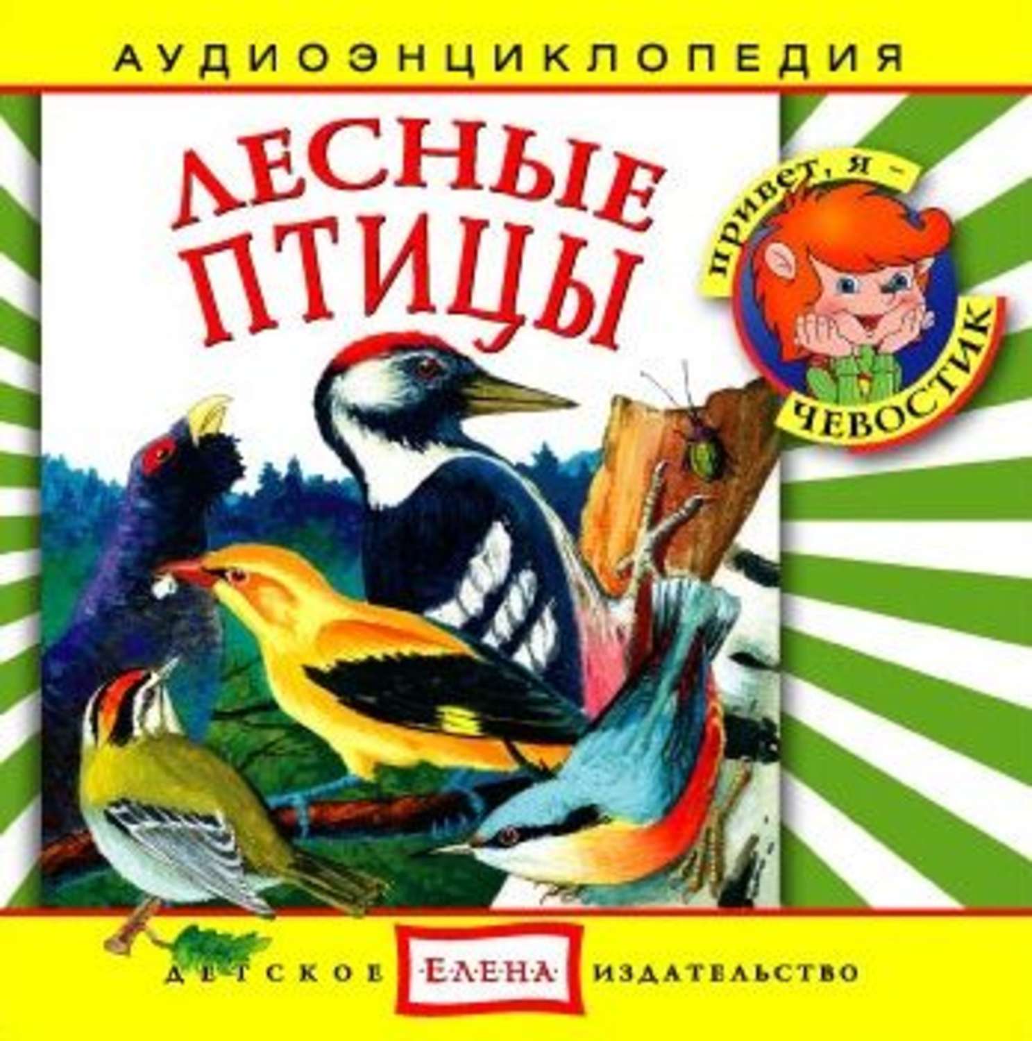 Обложка книги «Лесные птицы»