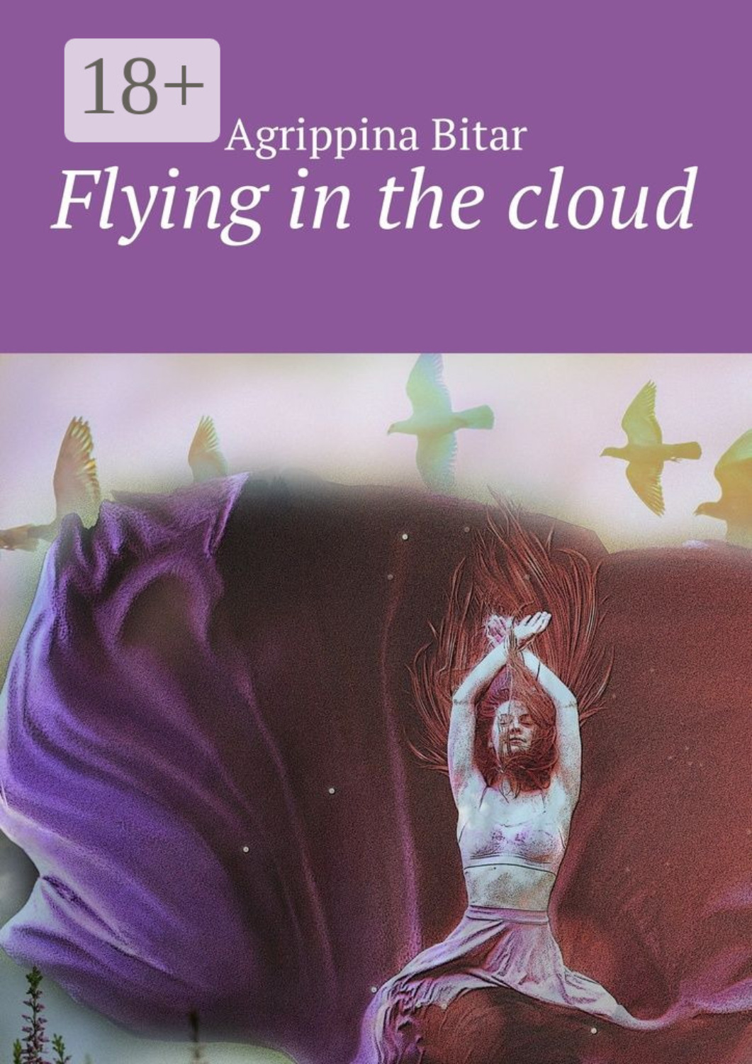 Обложка книги «Flying in the cloud»