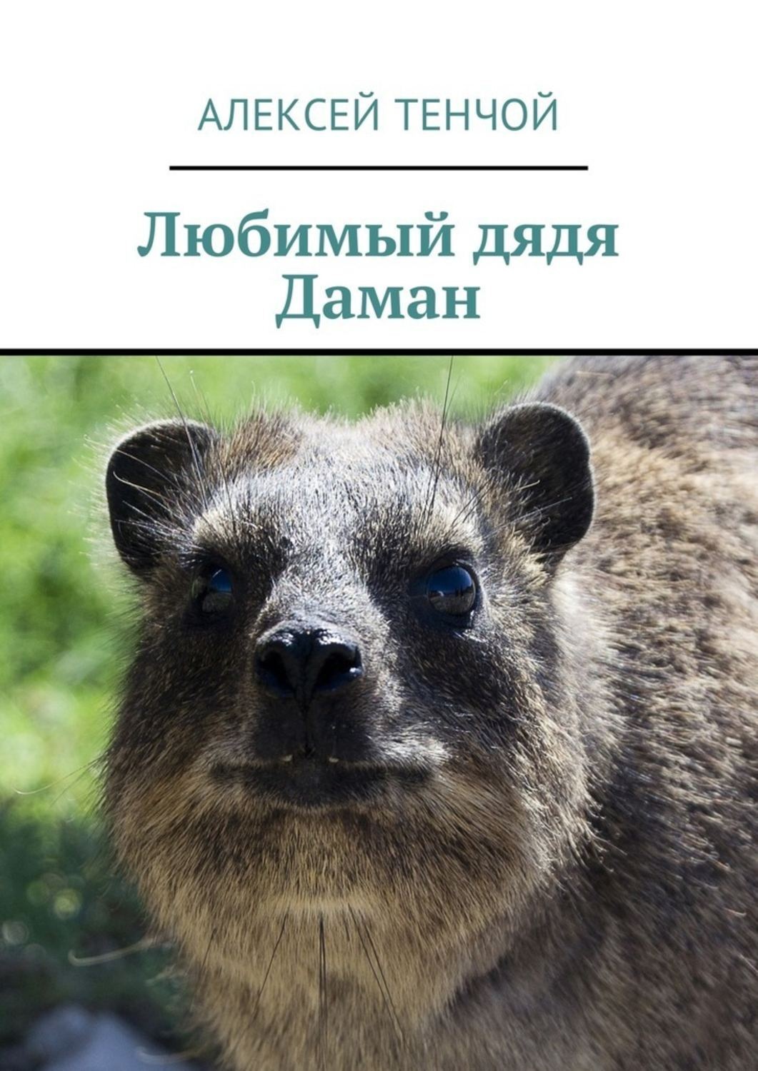 Обложка книги «Любимый дядя Даман»