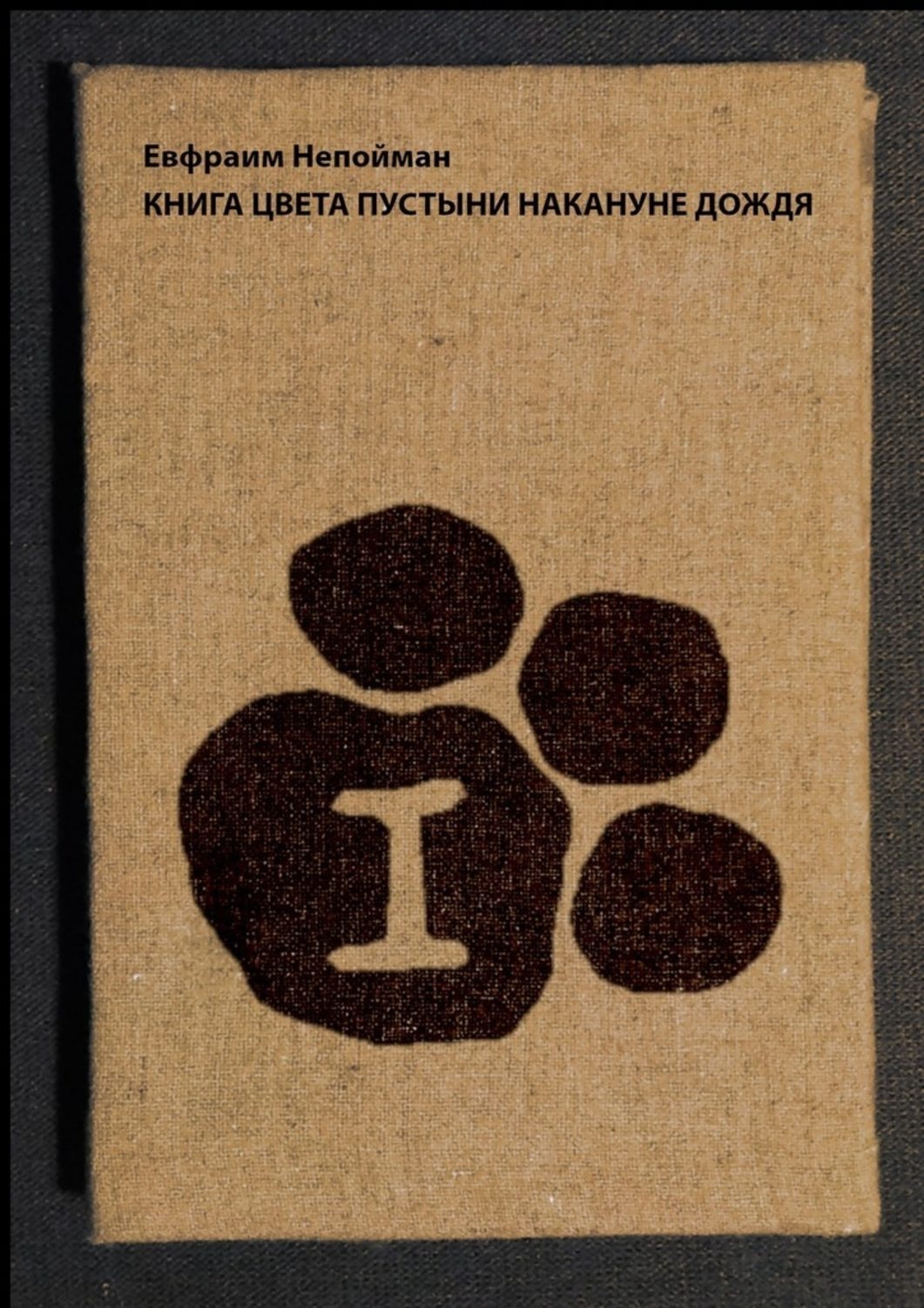 Обложка книги «Книга цвета пустыни накануне дождя»