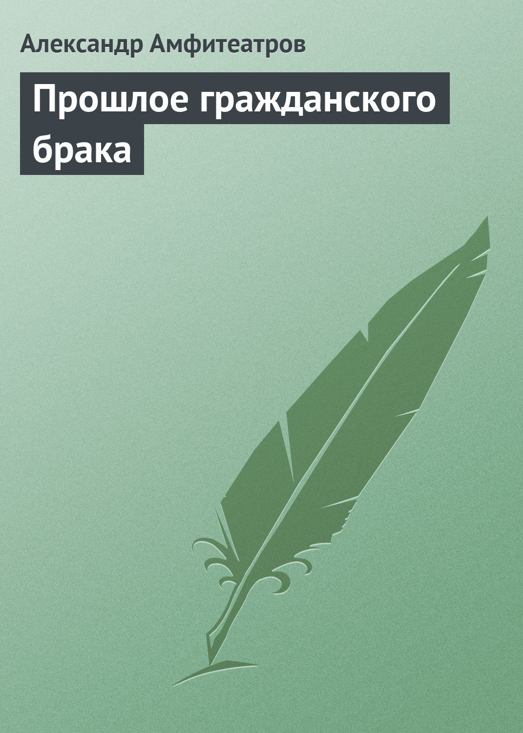 Обложка книги «Прошлое гражданского брака»