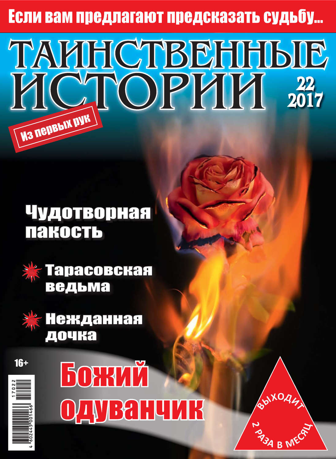 Обложка книги «Таинственные истории №22/2017»