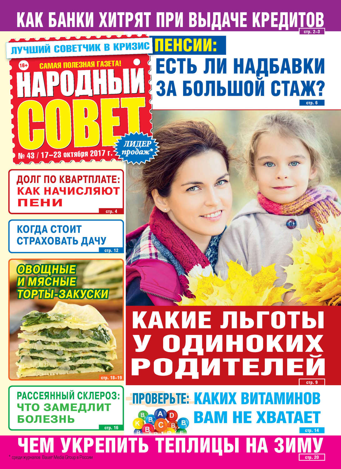 Обложка книги «Народный совет №43/2017»