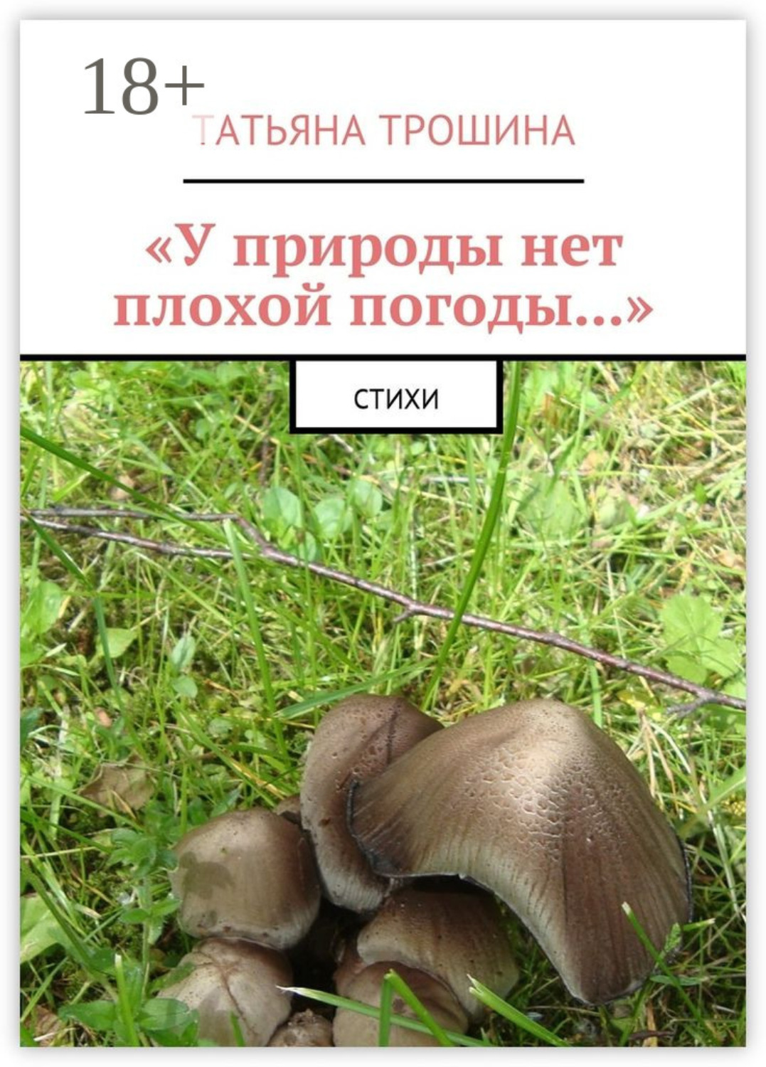 Обложка книги ««У природы нет плохой погоды…». Стихи»