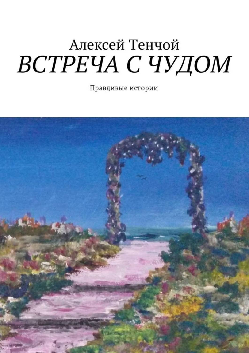 Обложка книги «Встреча с чудом. Правдивые истории»