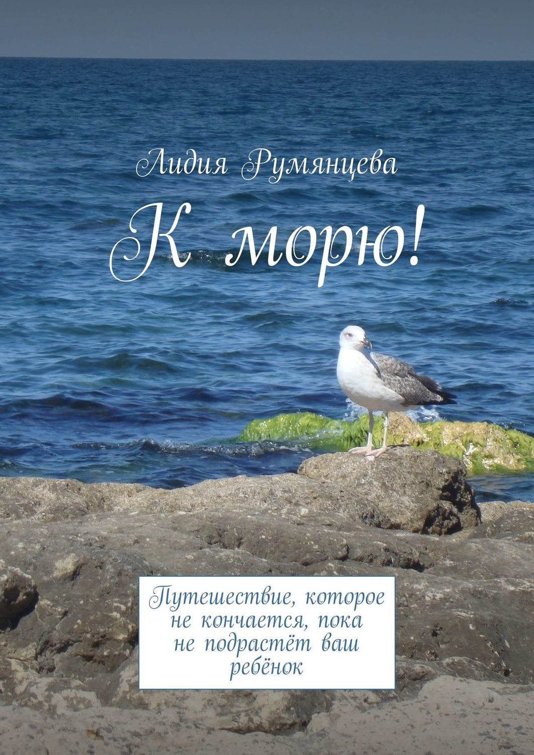 Обложка книги «К морю! Путешествие, которое не кончается, пока не подрастёт ваш ребёнок»