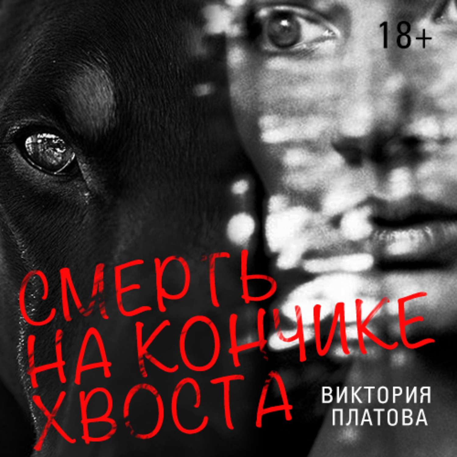 Обложка книги «Смерть на кончике хвоста»