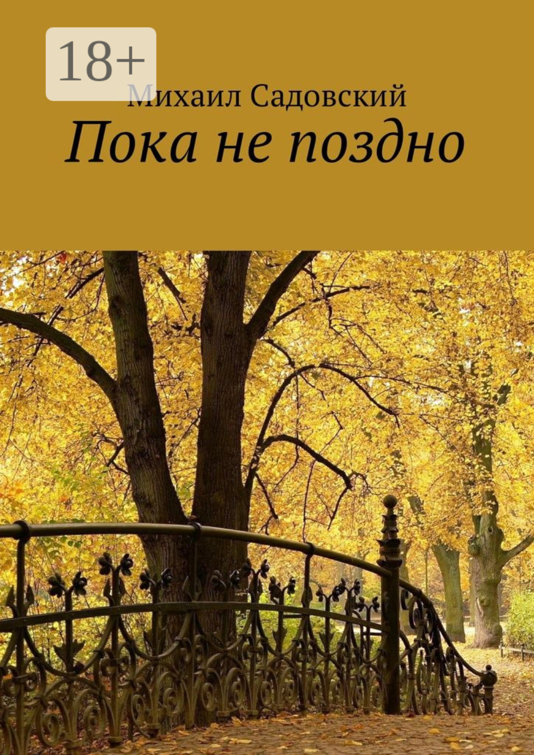 Обложка книги «Пока не поздно»