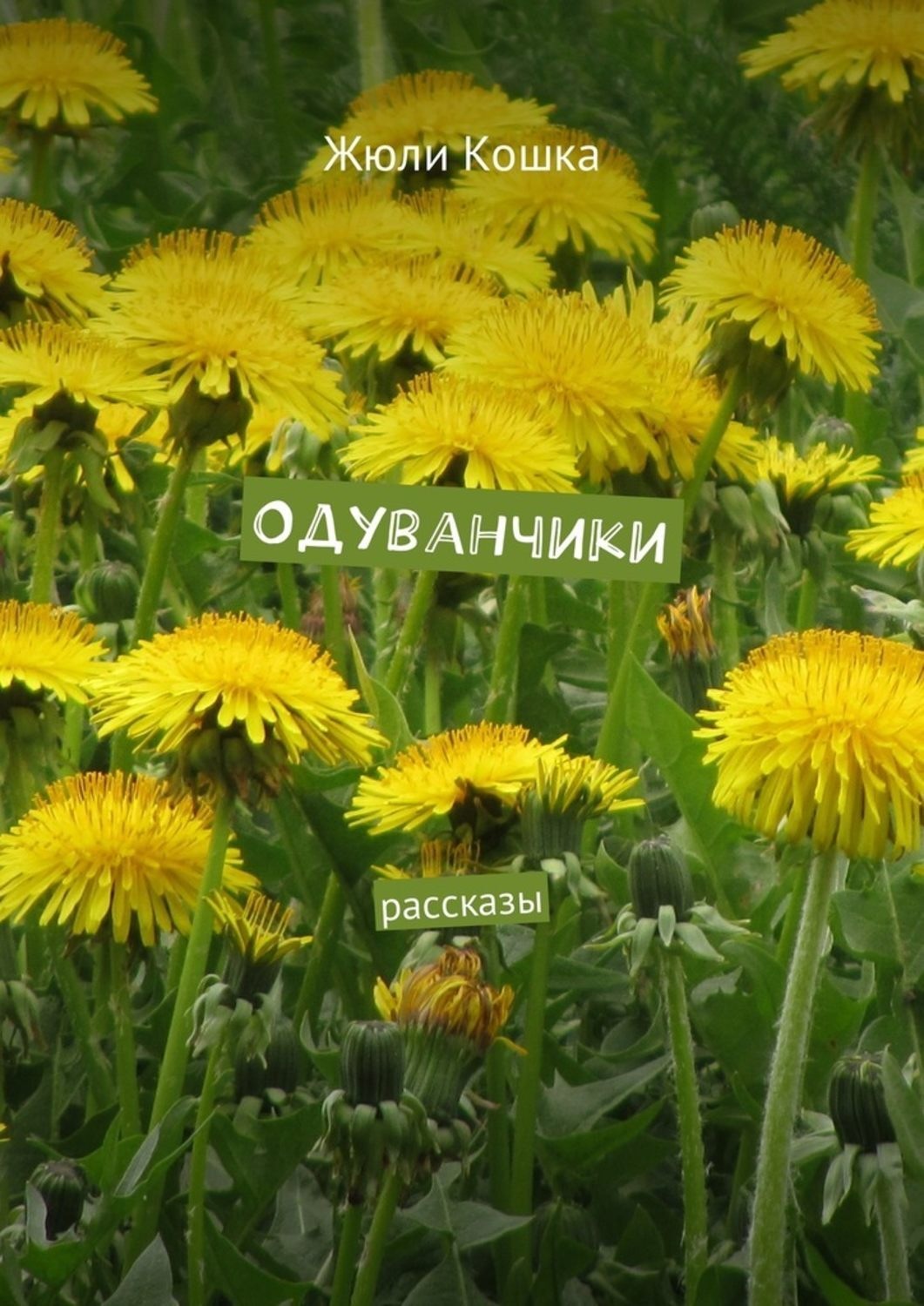 Обложка книги «Одуванчики. Рассказы»
