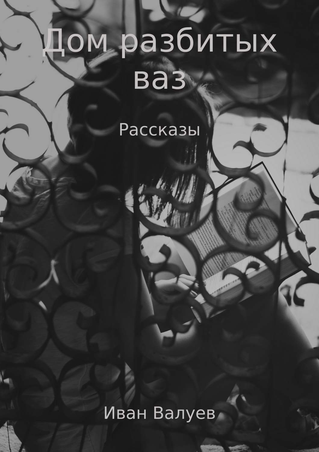 Обложка книги «Дом разбитых ваз»