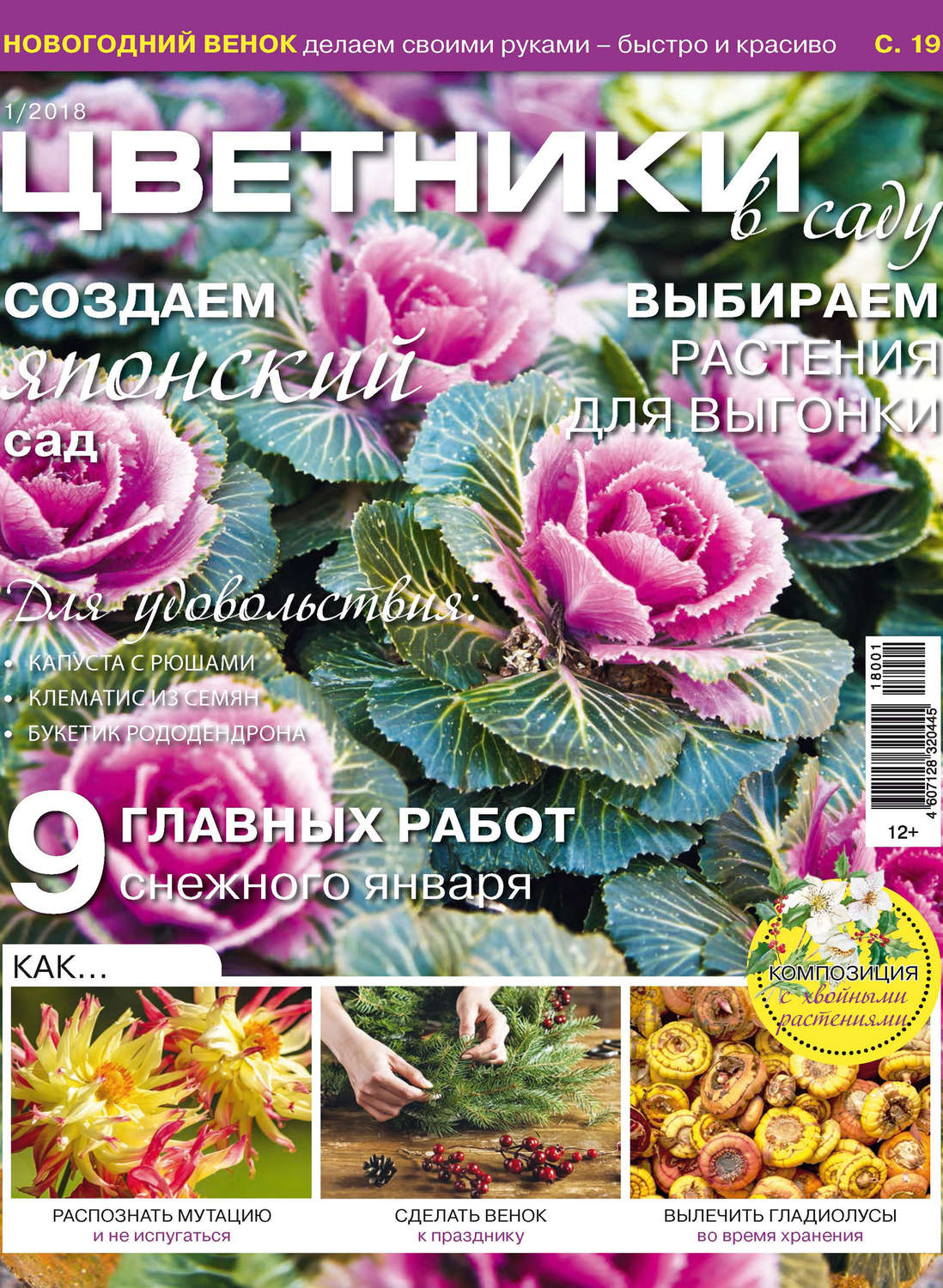 Обложка книги «Цветники в саду №1/2018»
