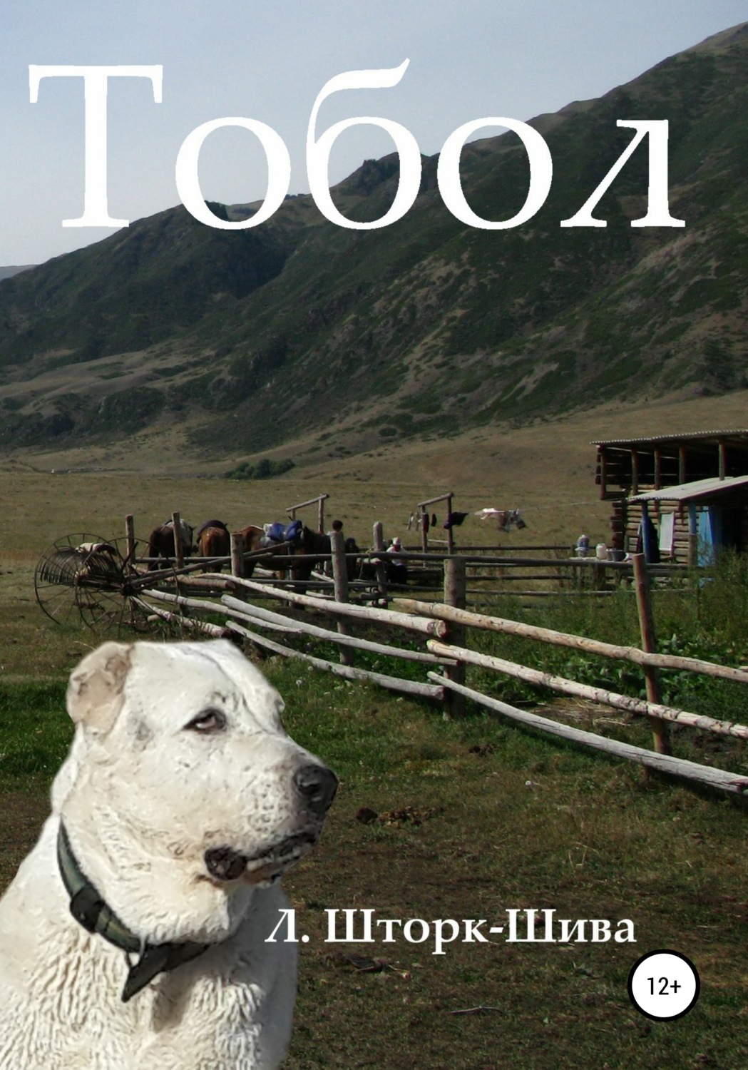 Обложка книги «Тобол»