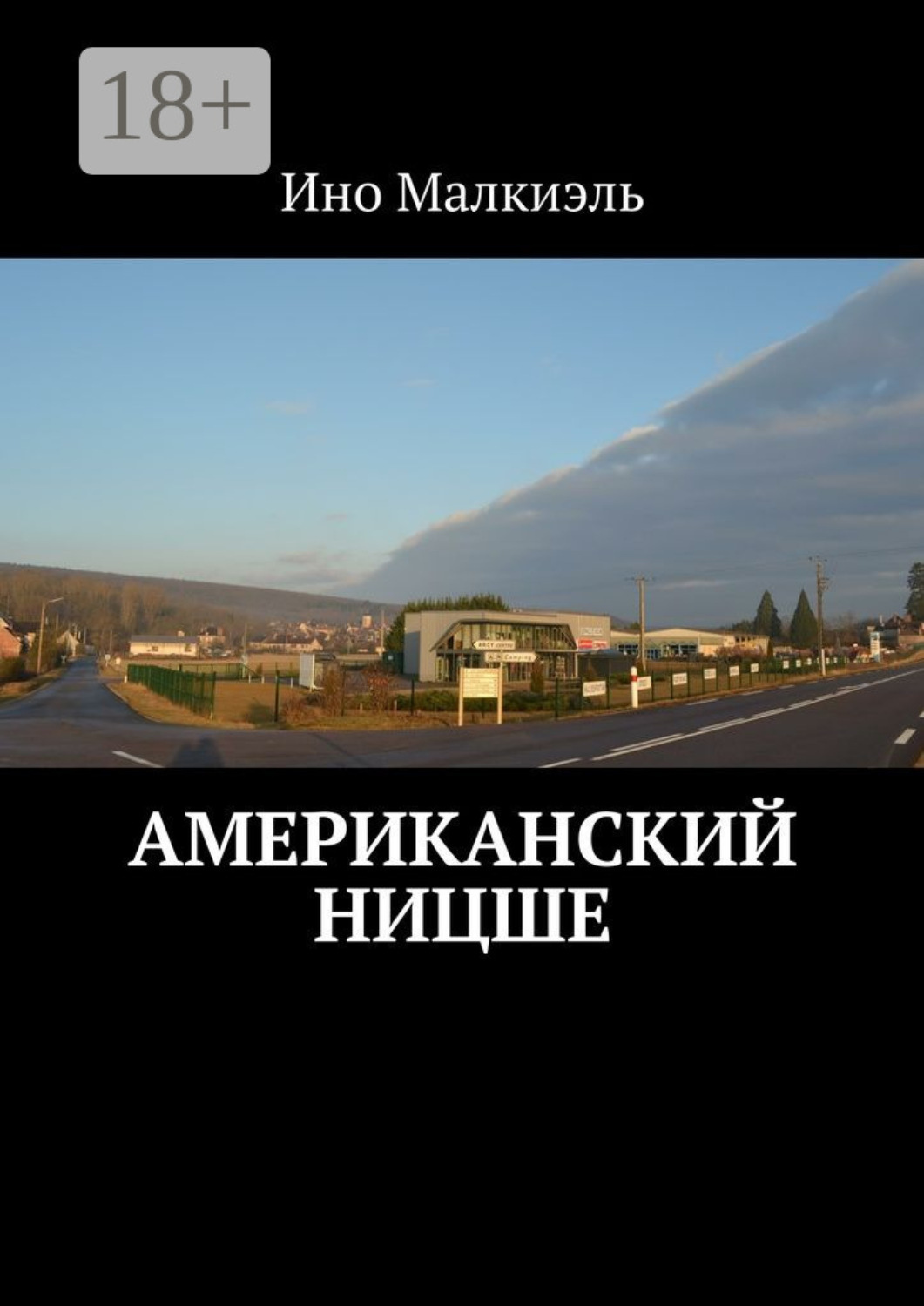 Обложка книги «Американский Ницше»
