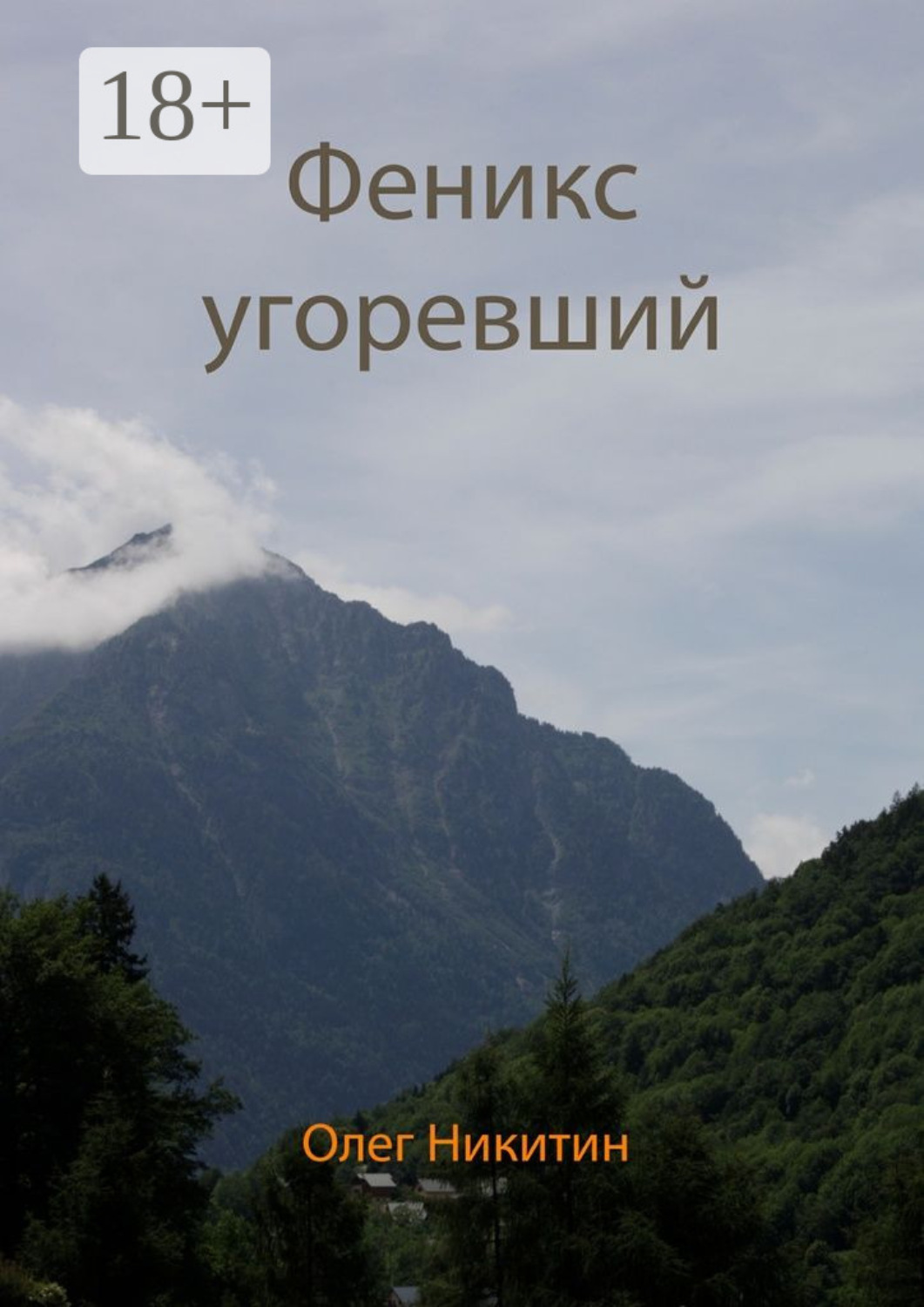 Обложка книги «Феникс угоревший»