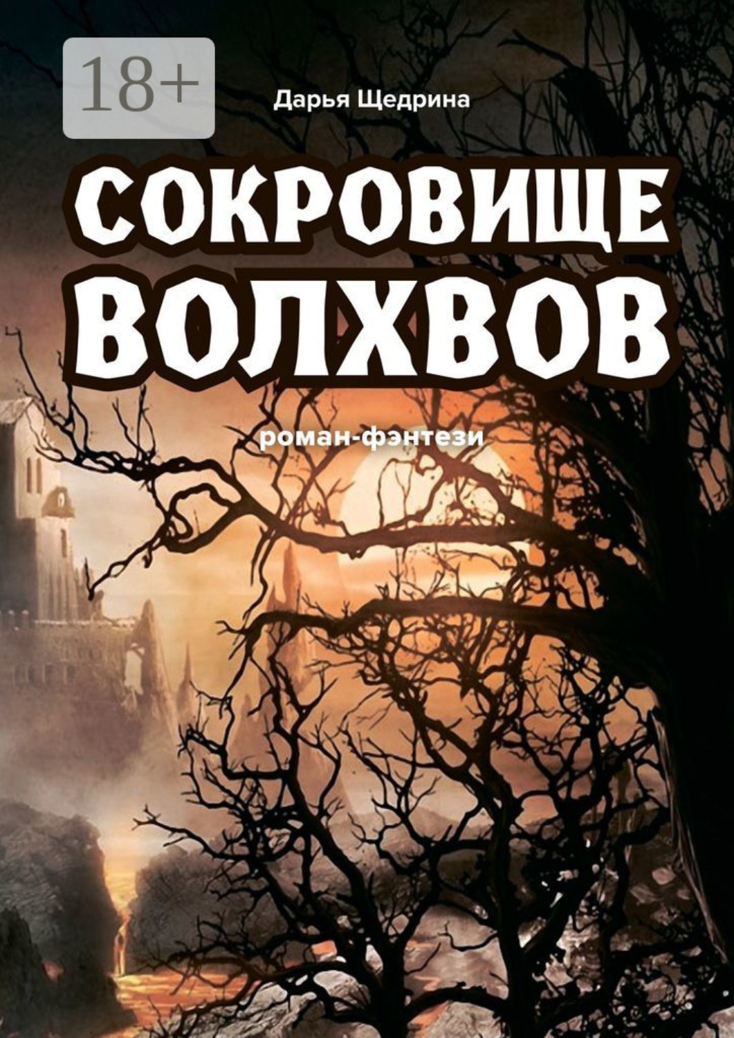 Обложка книги «Сокровище волхвов. Роман-фэнтези»