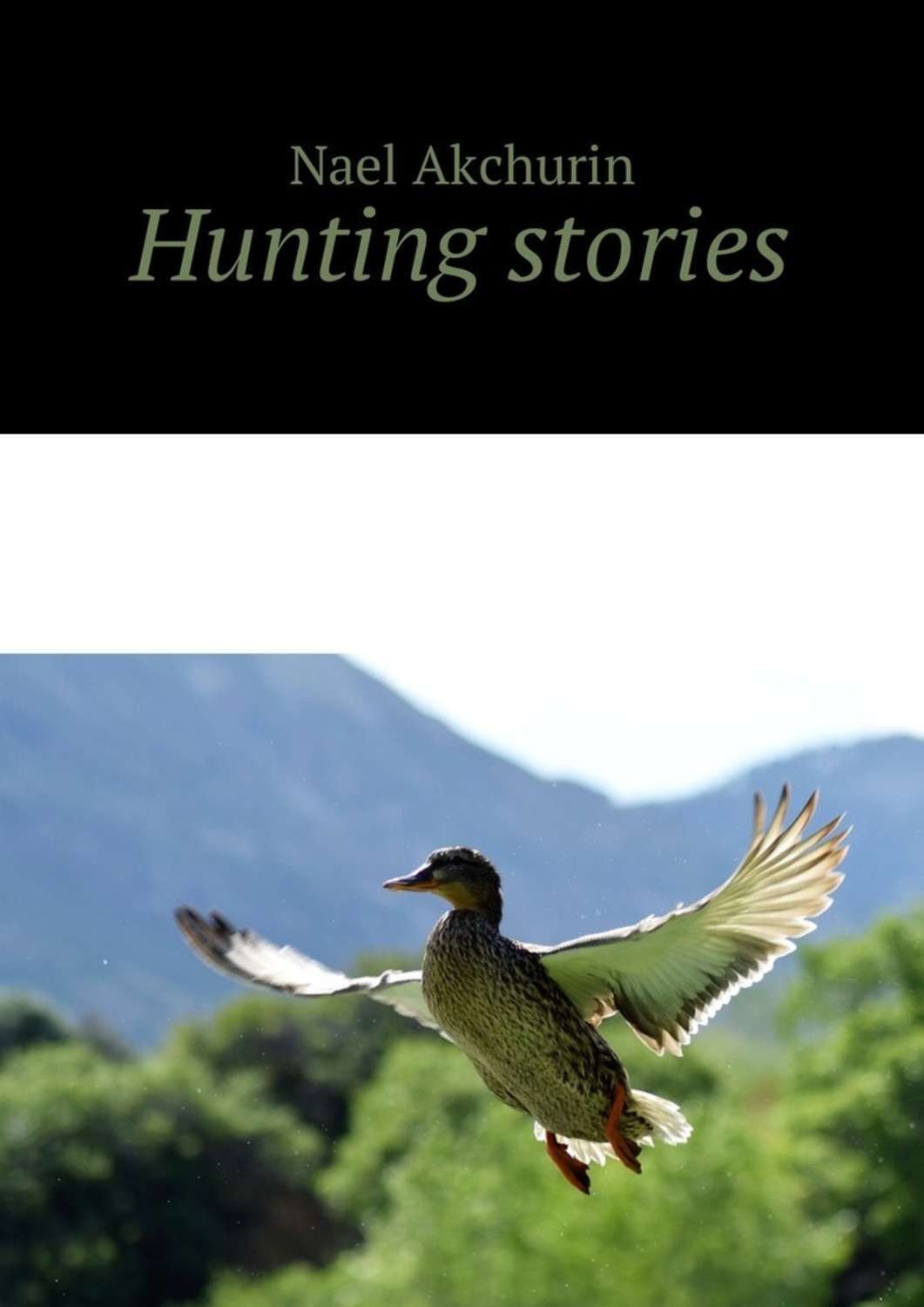 Обложка книги «Hunting stories»