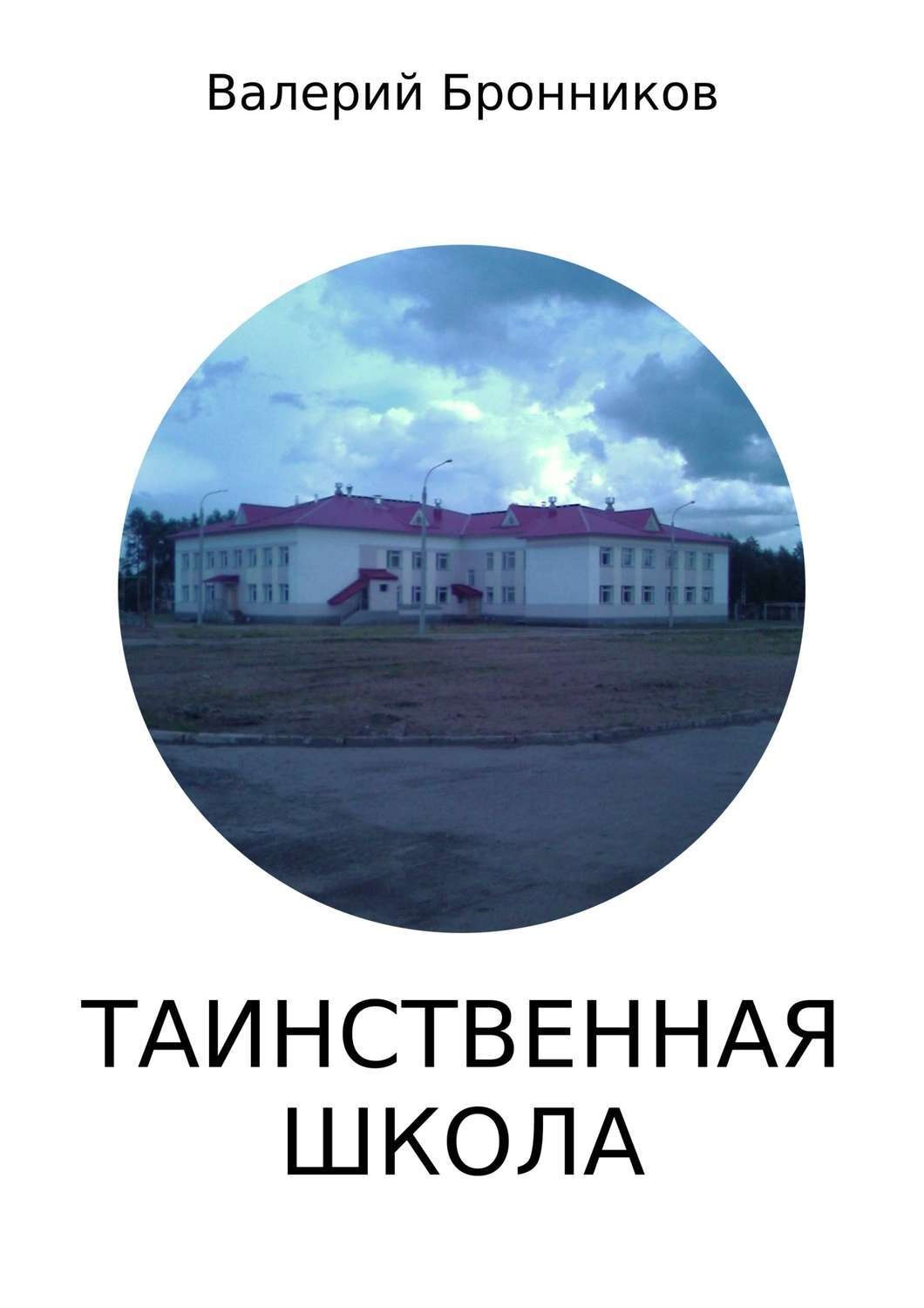 Обложка книги «Таинственная школа»