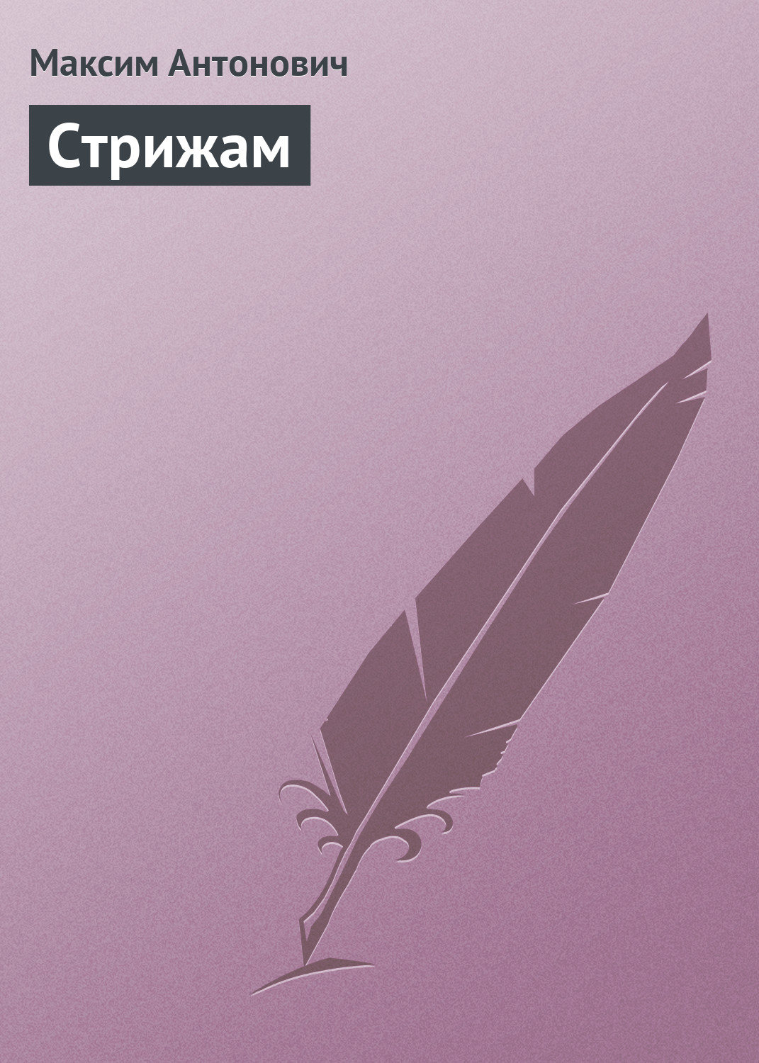 Обложка книги «Стрижам»