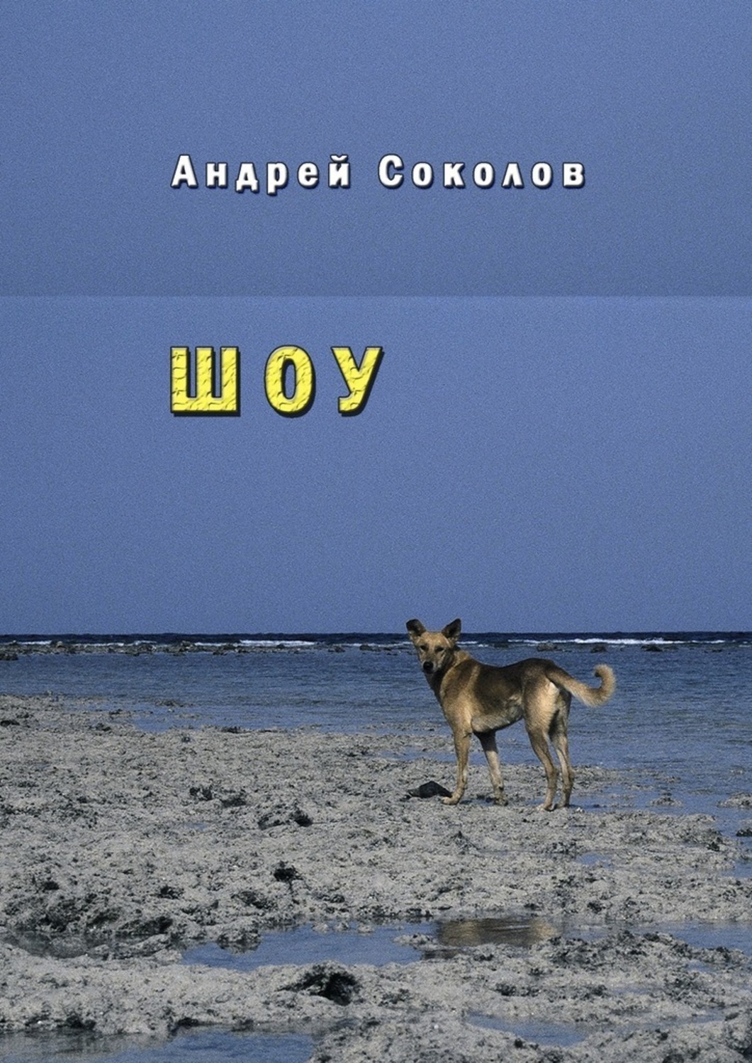 Обложка книги «Шоу»